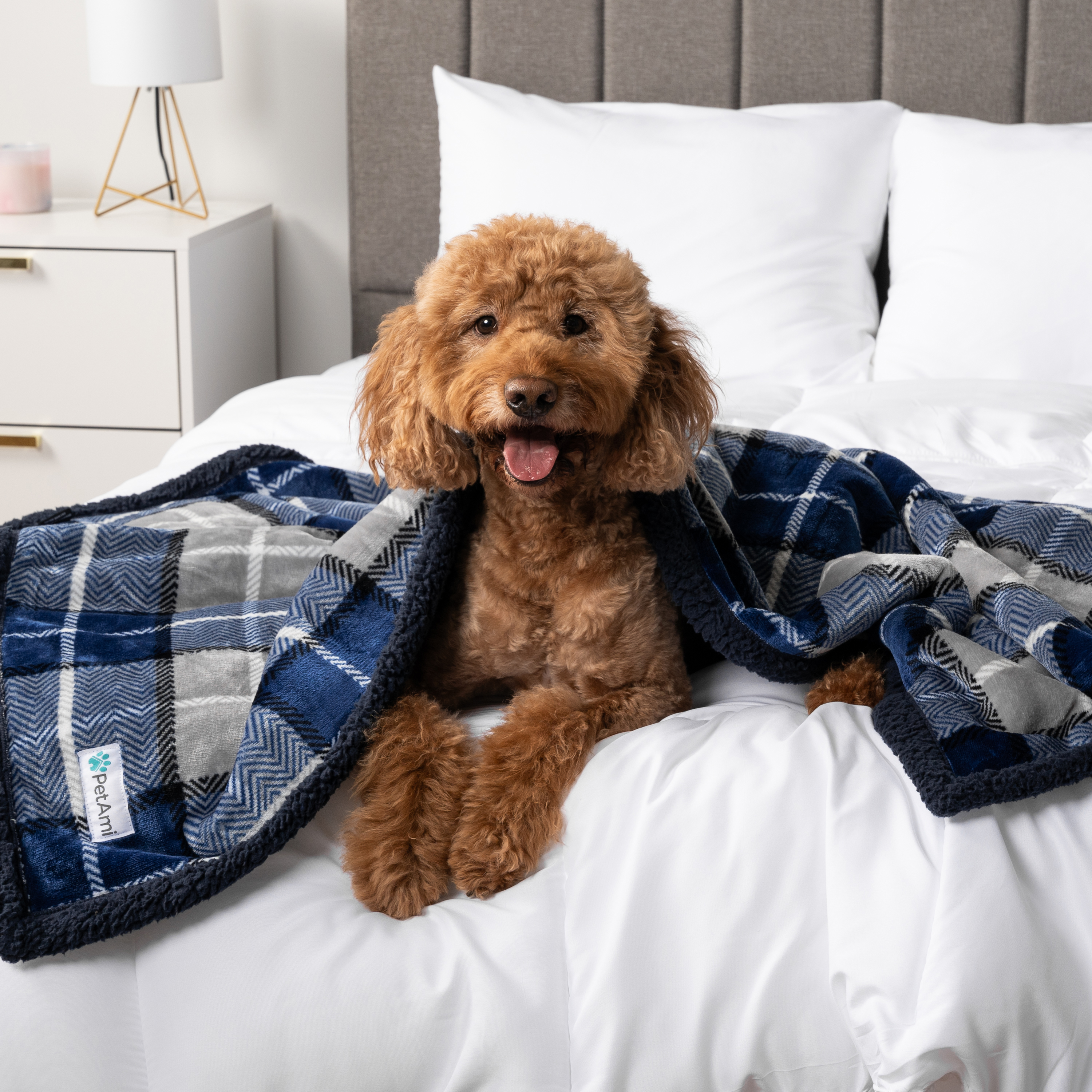 WASSERDICHTE Hundedecke für Haustierbett Couch Möbel Welpe Katze Sherpa Fleece weich - Bild 103 von 146