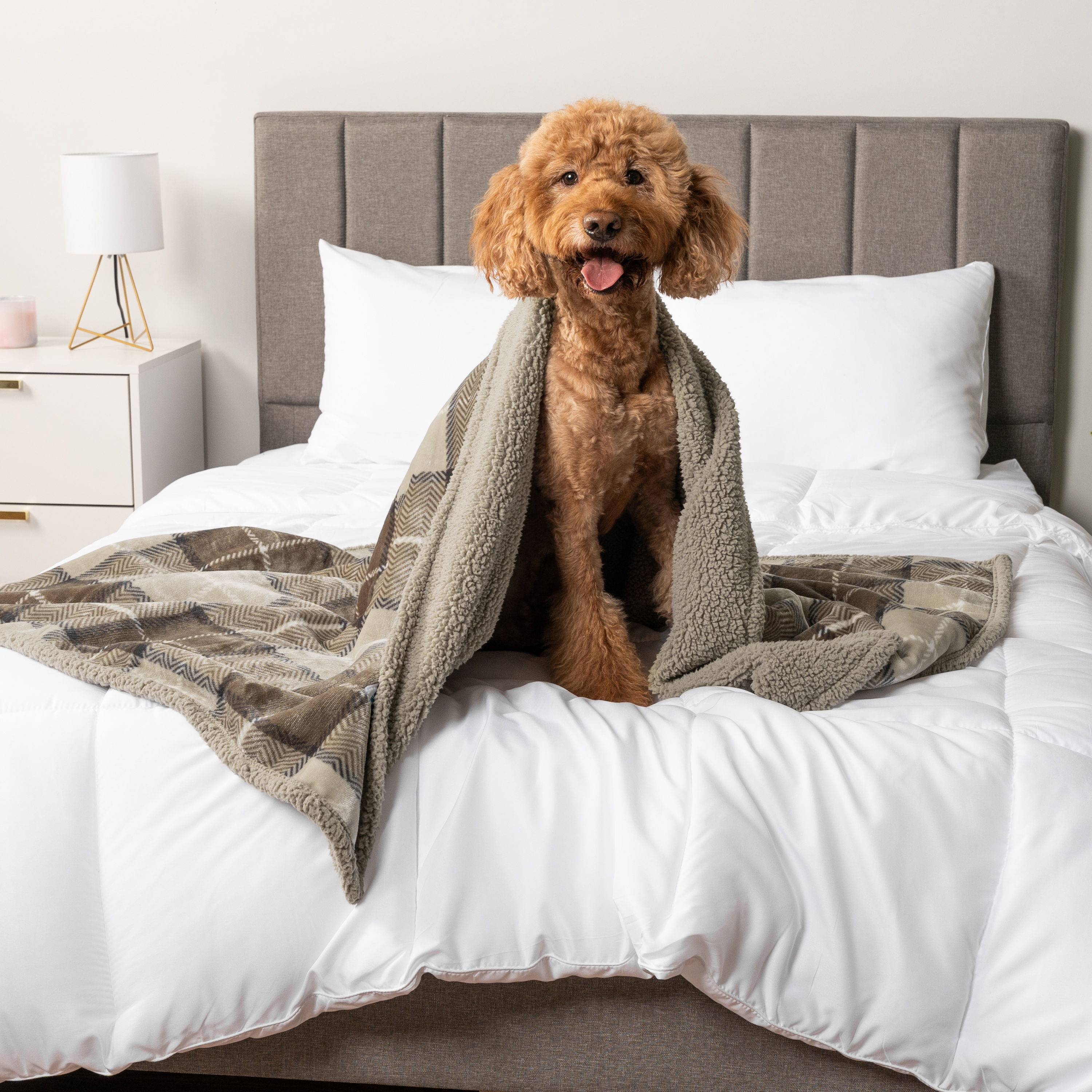 WASSERDICHTE Hundedecke für Haustierbett Couch Möbel Welpe Katze Sherpa Fleece weich - Bild 113 von 146