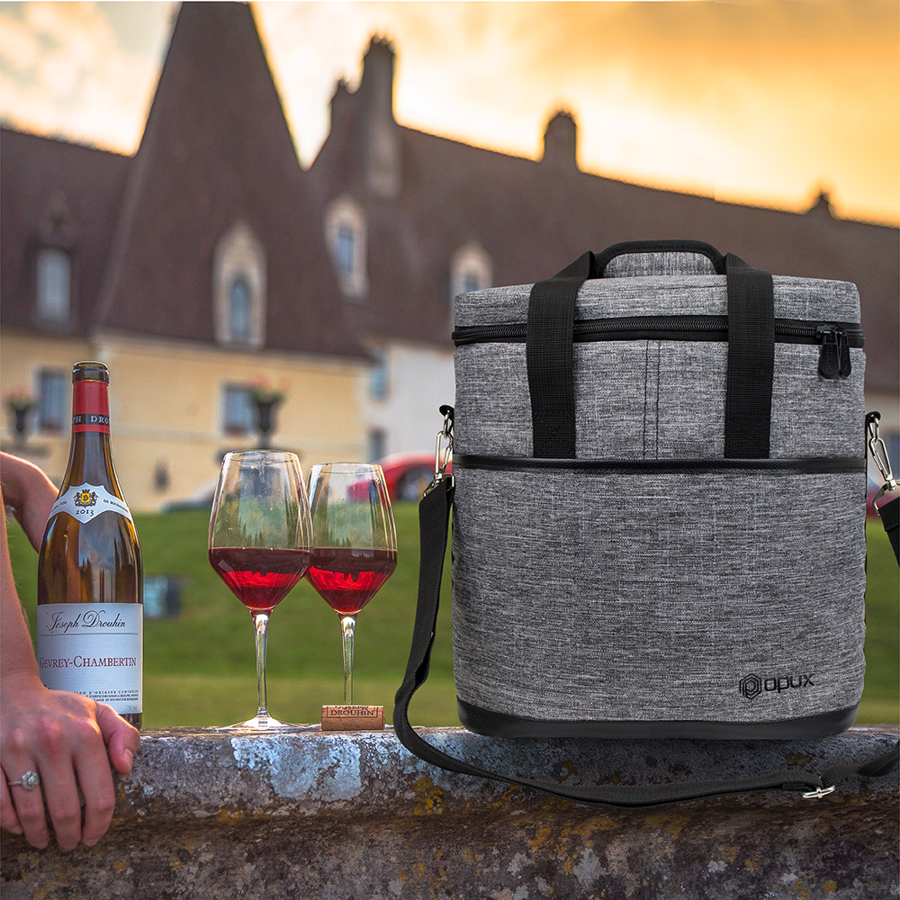 insulated wine travel bag