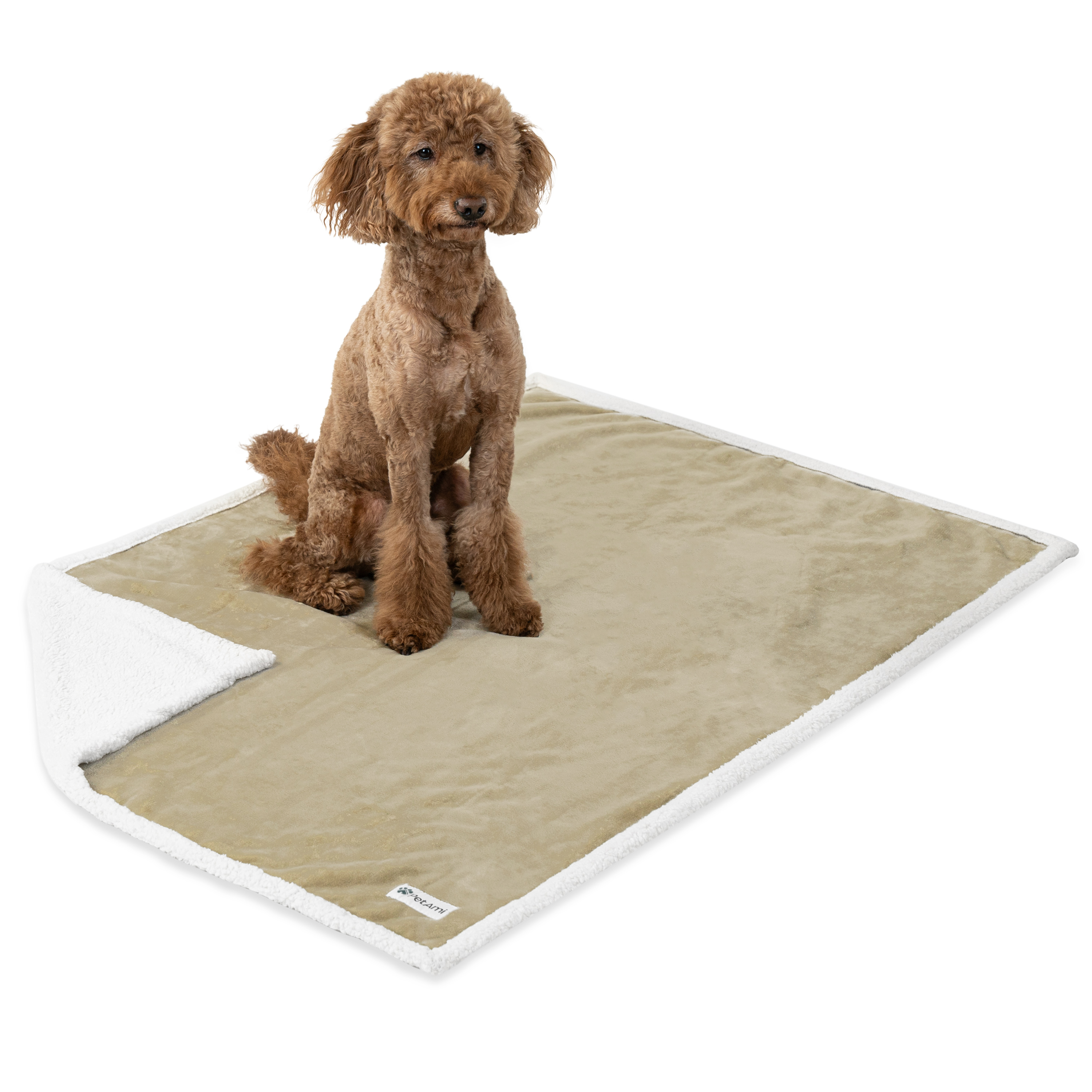 WASSERDICHTE Hundedecke für Haustierbett Couch Möbel Welpe Katze Sherpa Fleece weich - Bild 124 von 146