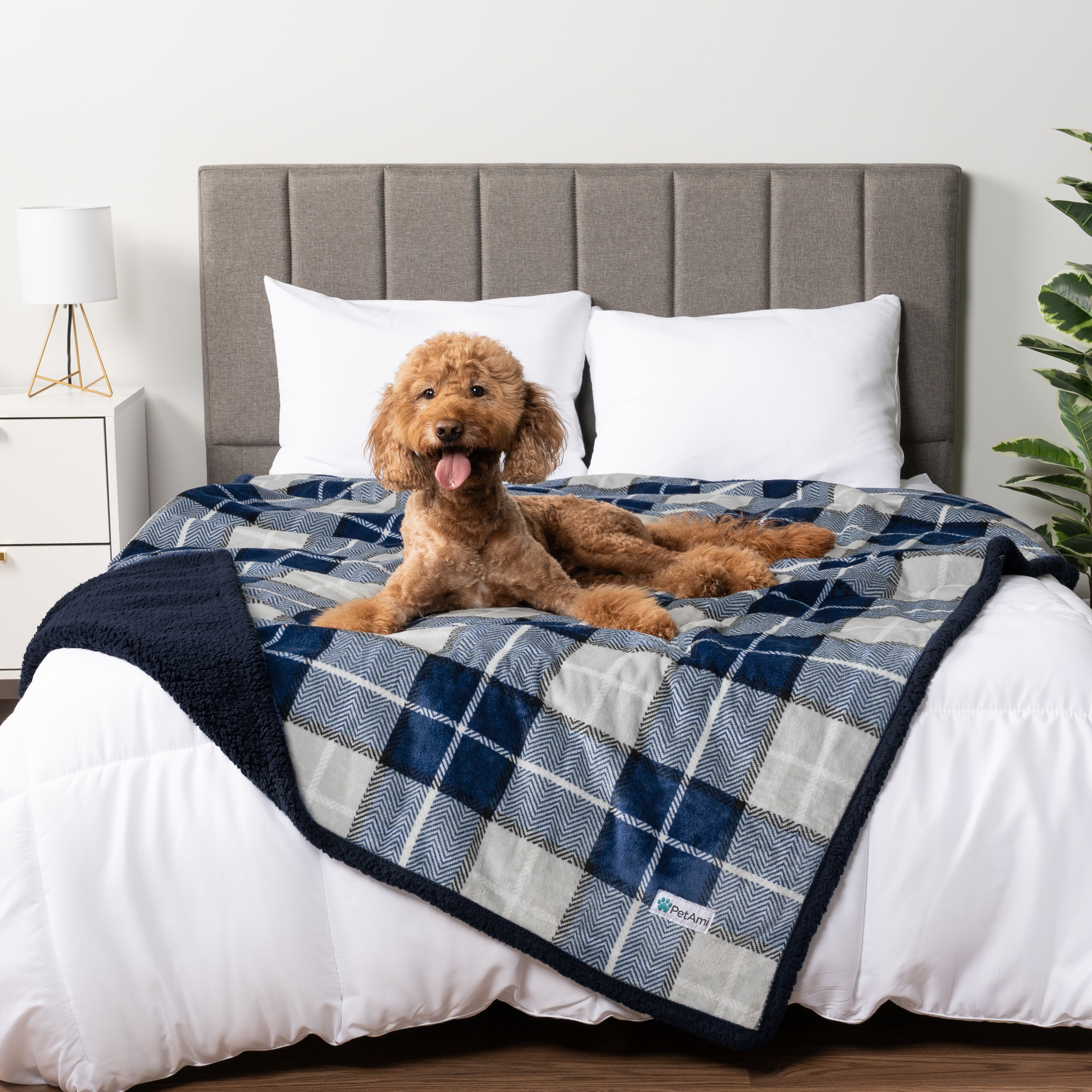 WASSERDICHTE Hundedecke für Haustierbett Couch Möbel Welpe Katze Sherpa Fleece weich - Bild 101 von 146
