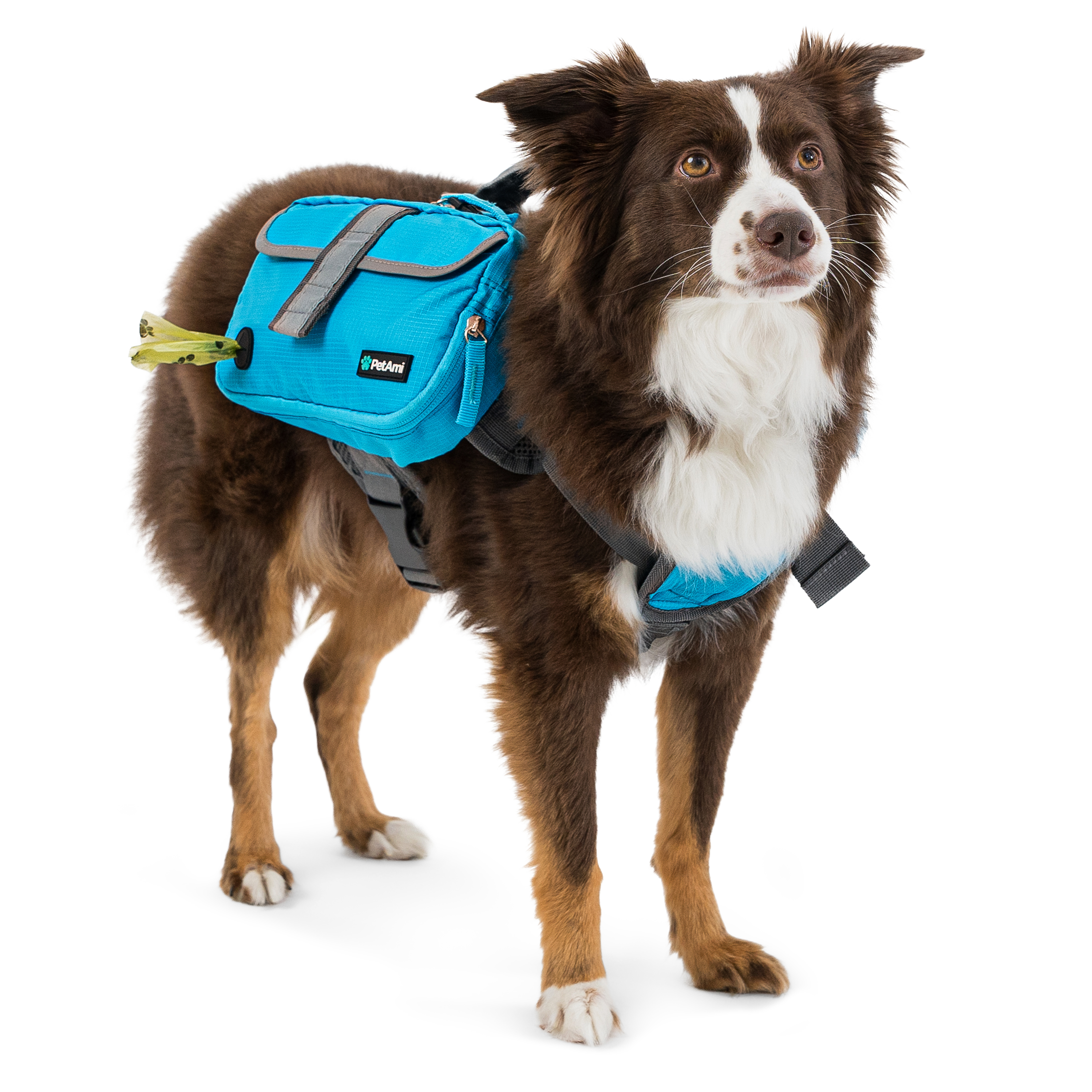 Dog Harness Backpack for Medium Large Dogs Hiking Pet Backpack Saddle Bag Pack Dog Harness Backpack for Medium Large Dogs Hiking Pet Backpack Saddle Bag Pack