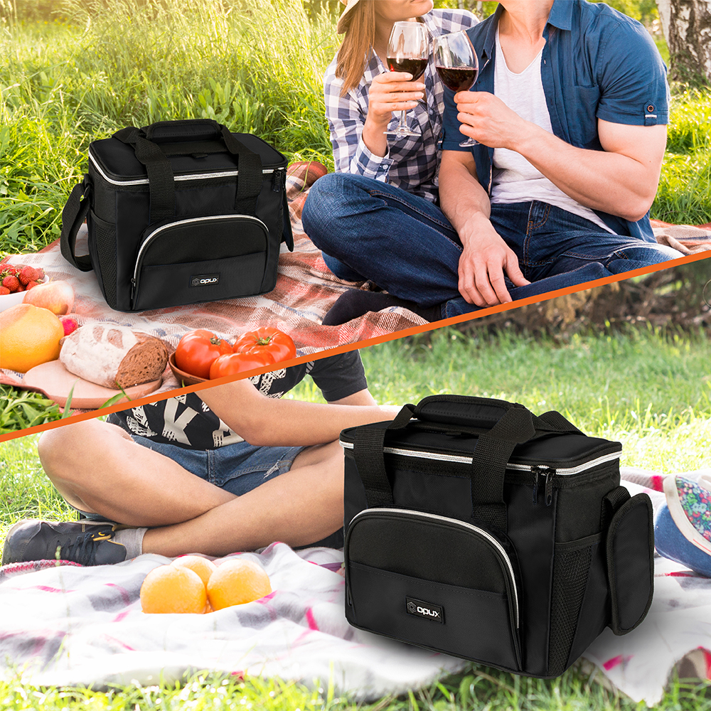 Insulated Lunch Bag for Men Women Large Leakproof Lunch Tote Cooler Work Picnic - Picture 7 of 47