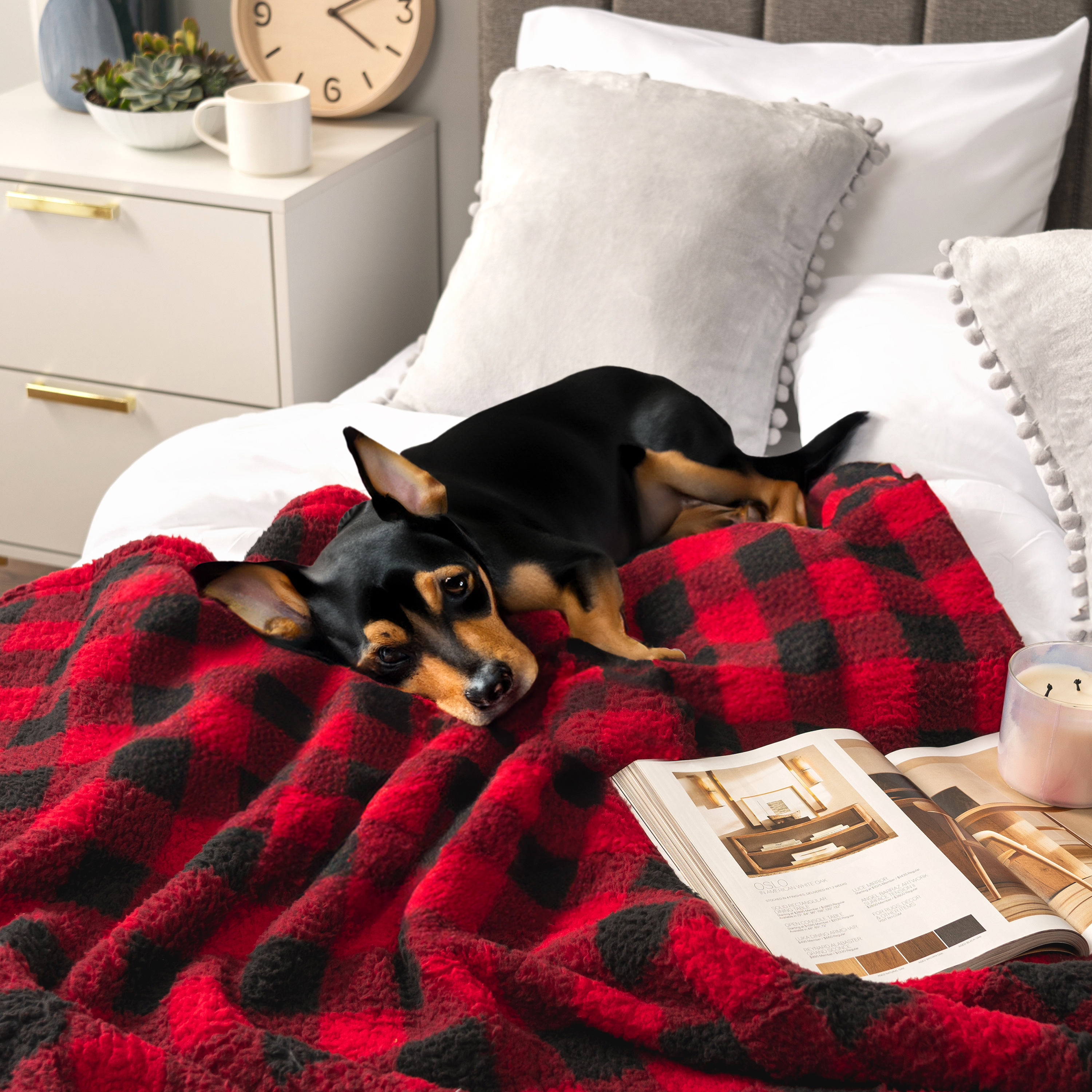 Super Soft Blanket Lightweight Sherpa Fleece Warm Fluffy Throws Couch Sofa Bed - Picture 26 of 169
