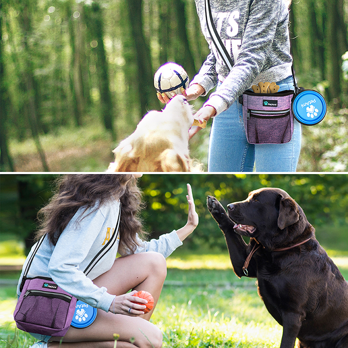 Pet Treat Pouch Training Dog Snack Feed Food Puppy Bait Obedience Waist Belt Bag - Picture 76 of 92
