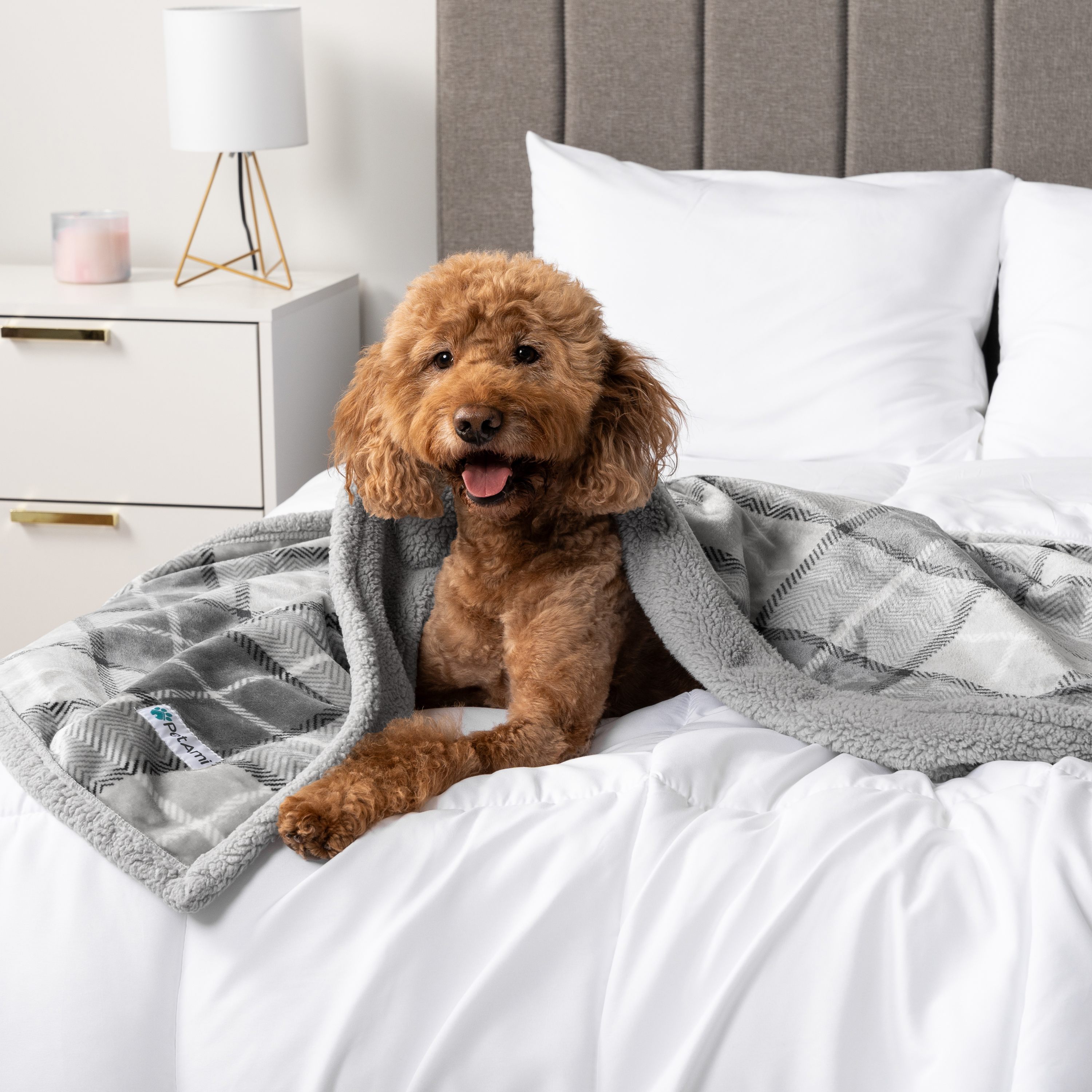 WASSERDICHTE Hundedecke für Haustierbett Couch Möbel Welpe Katze Sherpa Fleece weich - Bild 94 von 146