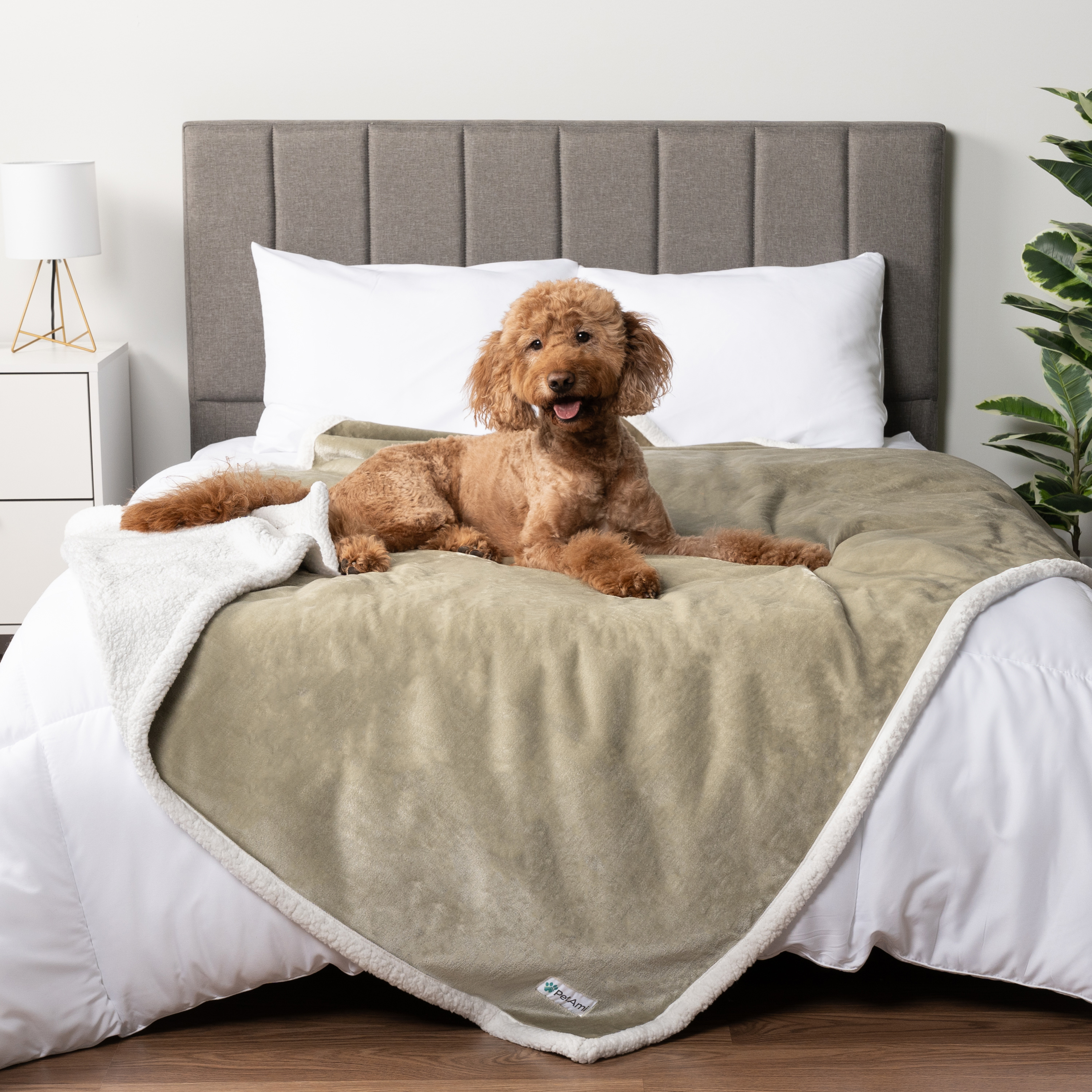 WASSERDICHTE Hundedecke für Haustierbett Couch Möbel Welpe Katze Sherpa Fleece weich - Bild 120 von 146