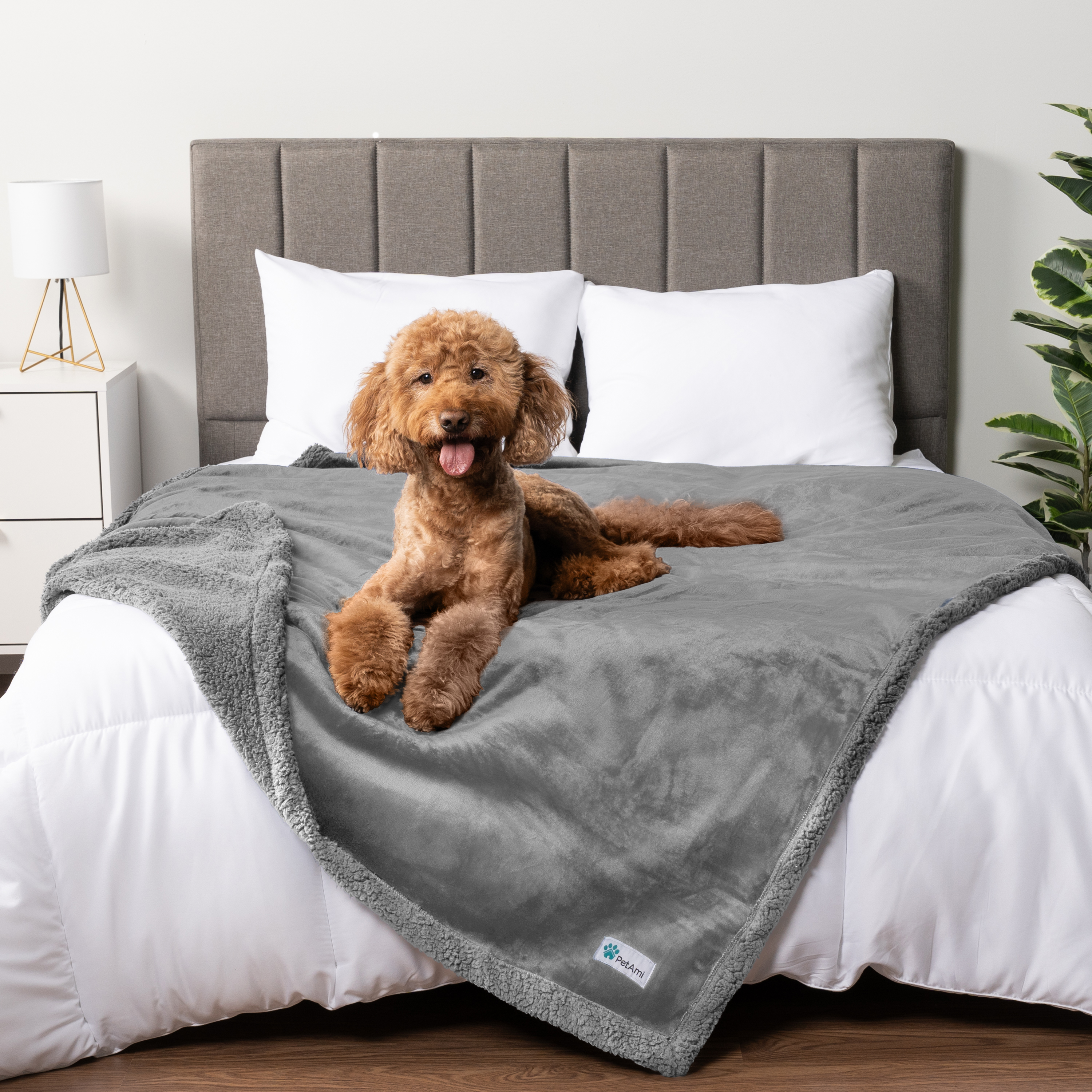 WASSERDICHTE Hundedecke für Haustierbett Couch Möbel Welpe Katze Sherpa Fleece weich - Bild 62 von 146