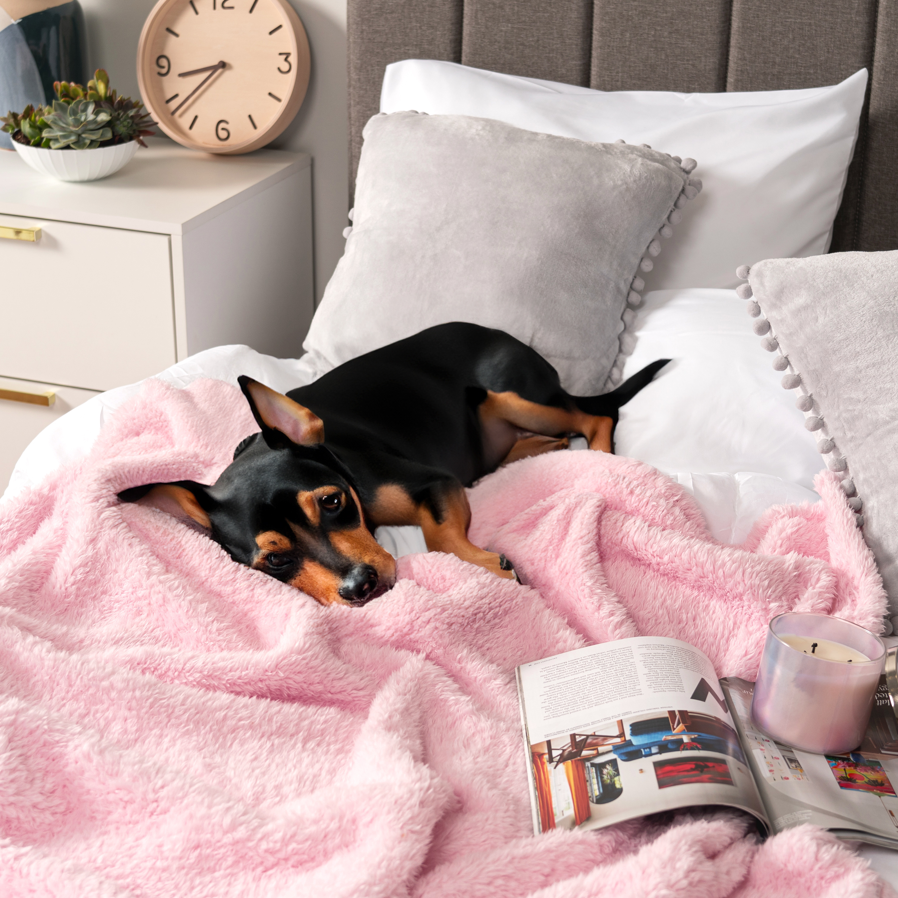 Super Soft Blanket Lightweight Sherpa Fleece Warm Fluffy Throws Couch Sofa Bed - Picture 106 of 169