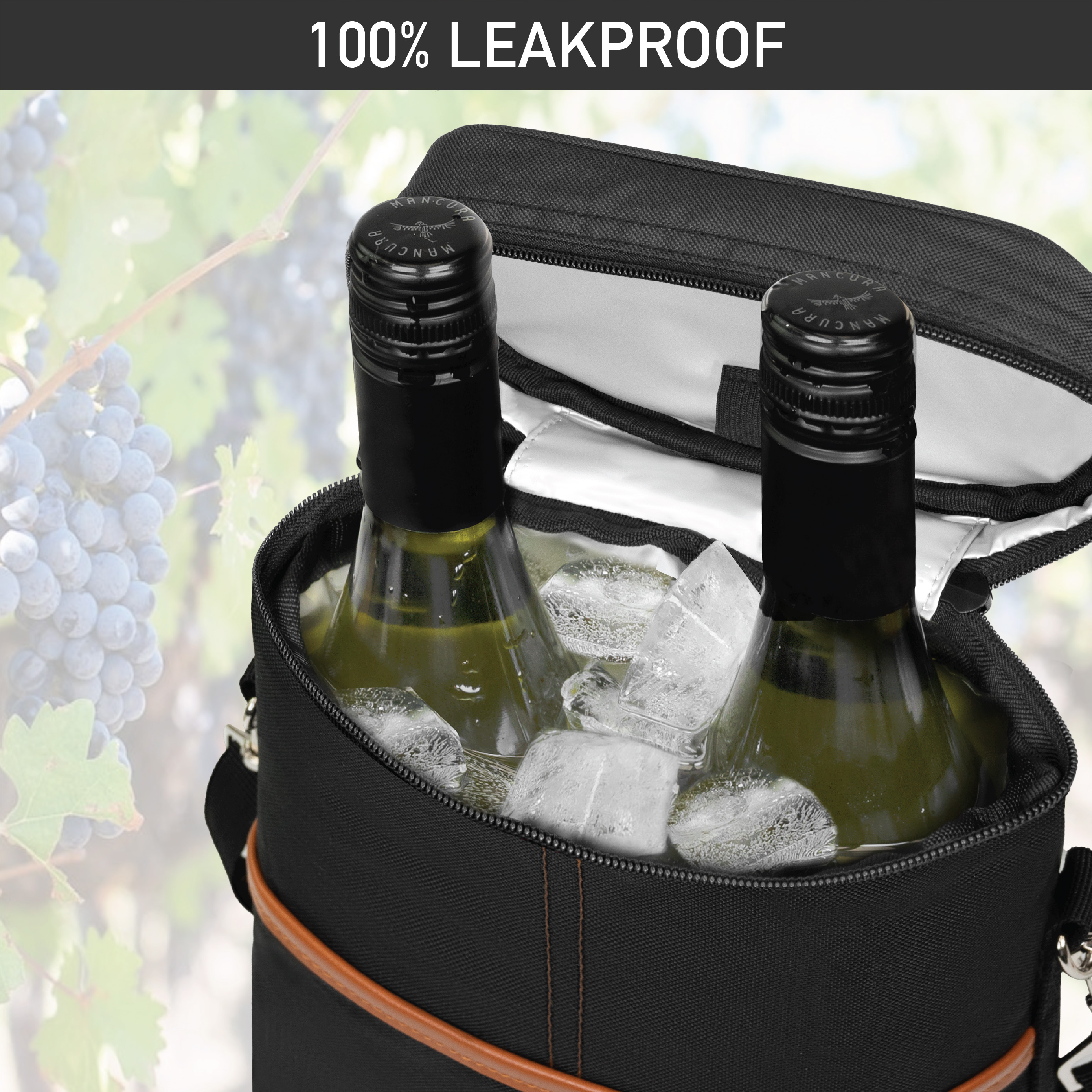Insulated Wine Carrier Tote Bag Two 2 Bottle Padded Cooler Bag Travel Protection - Picture 15 of 85