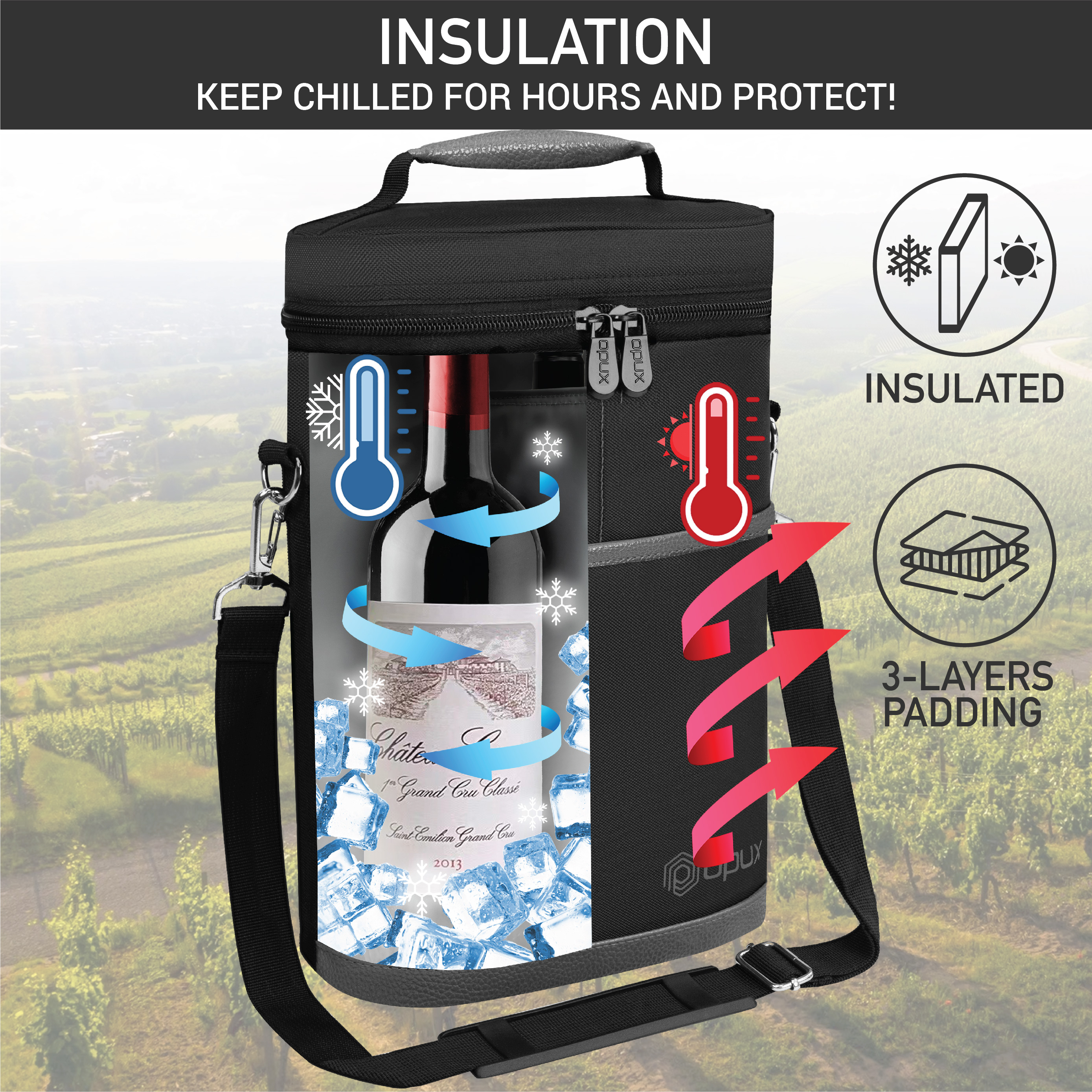 Insulated Wine Carrier Tote Bag Two 2 Bottle Padded Cooler Bag Travel Protection - Picture 36 of 85