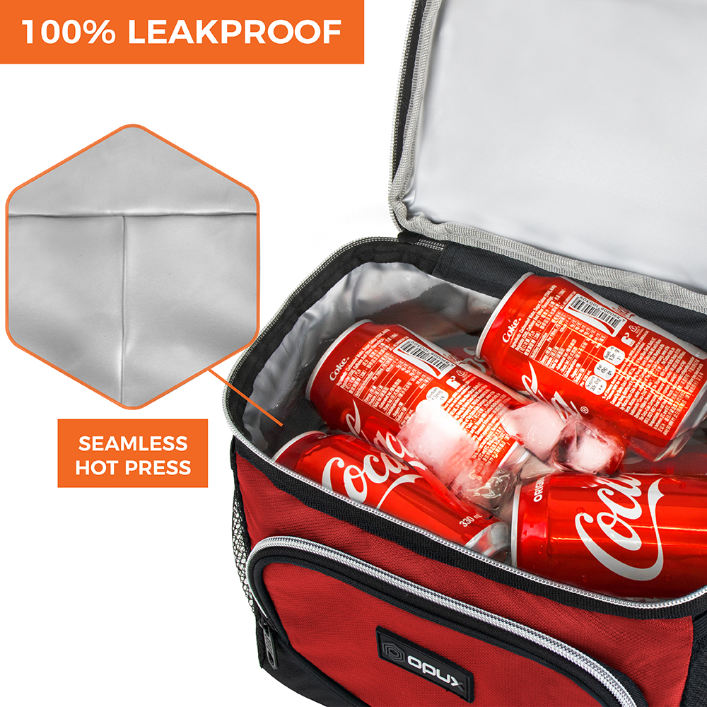 Insulated Dual Compartment Medium Lunch Bag for Adults Shoulder Strap Leakproof