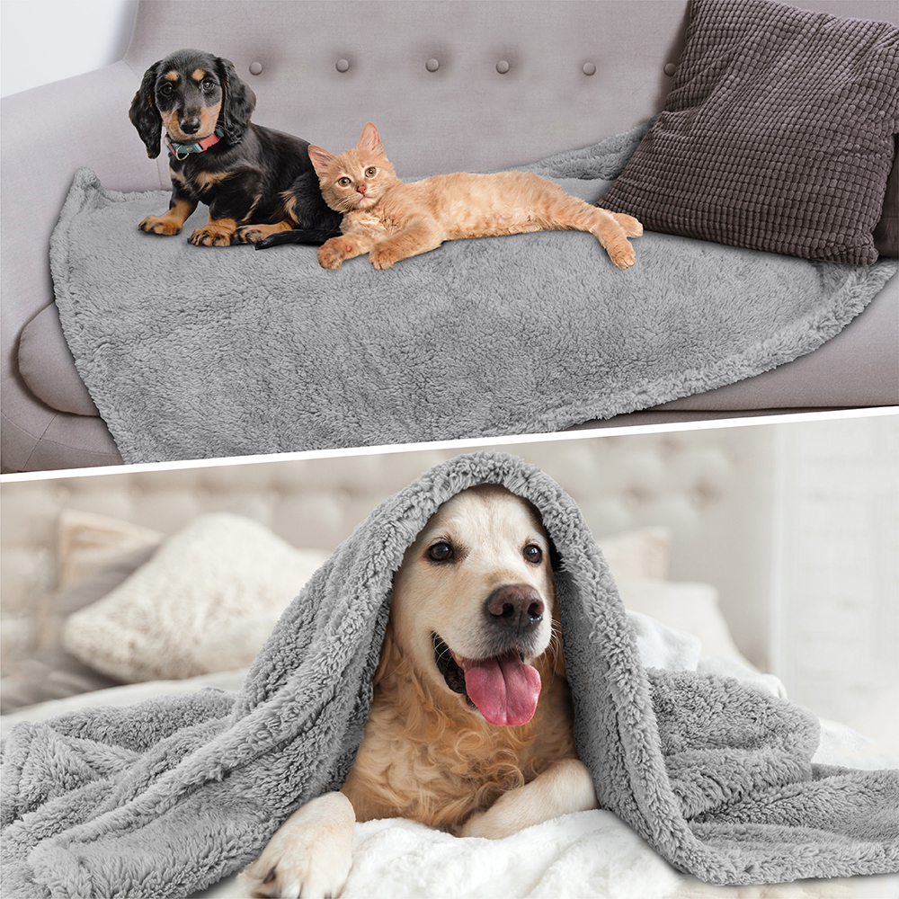 plush dog throw blanket