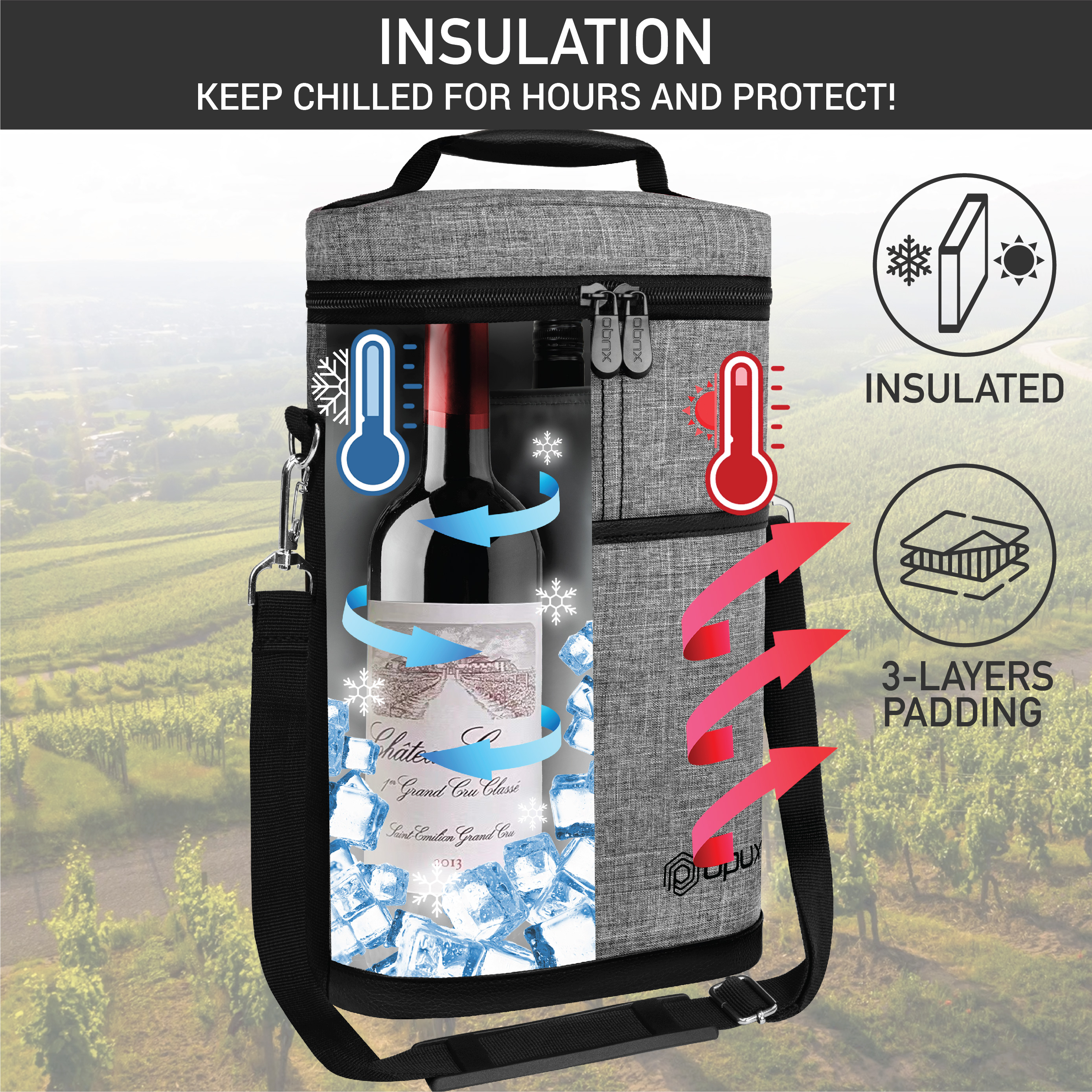 Insulated Wine Carrier Tote Bag Two 2 Bottle Padded Cooler Bag Travel Protection - Picture 44 of 85