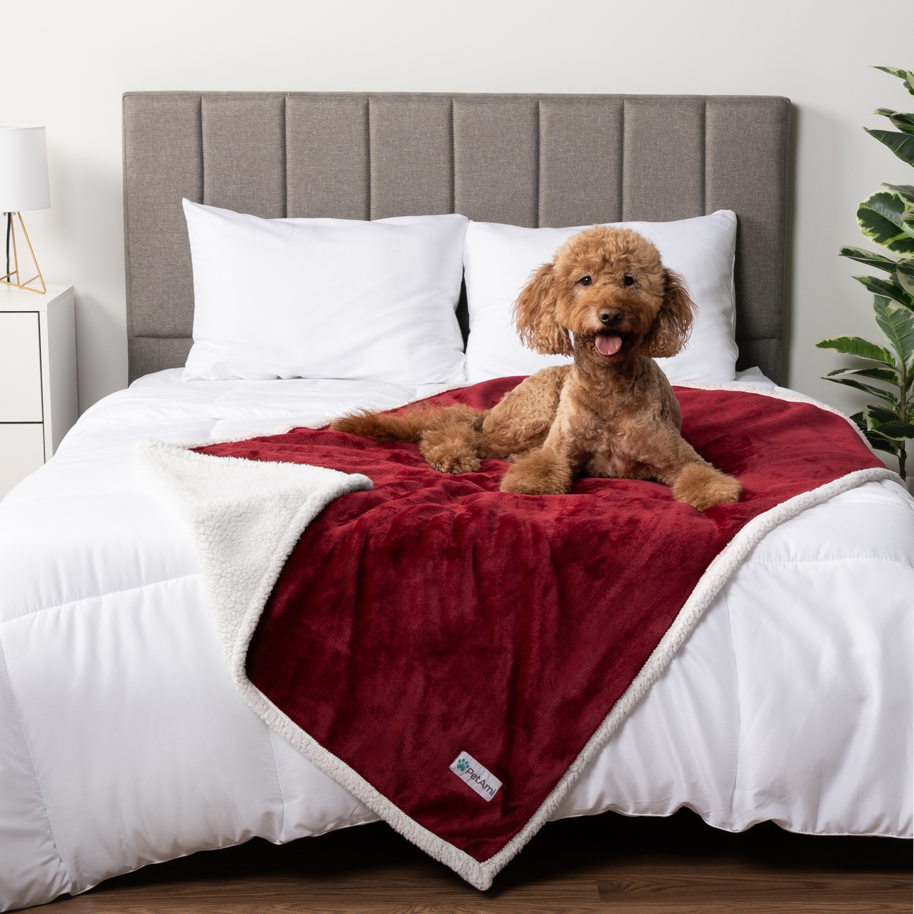 WASSERDICHTE Hundedecke für Haustierbett Couch Möbel Welpe Katze Sherpa Fleece weich - Bild 141 von 146