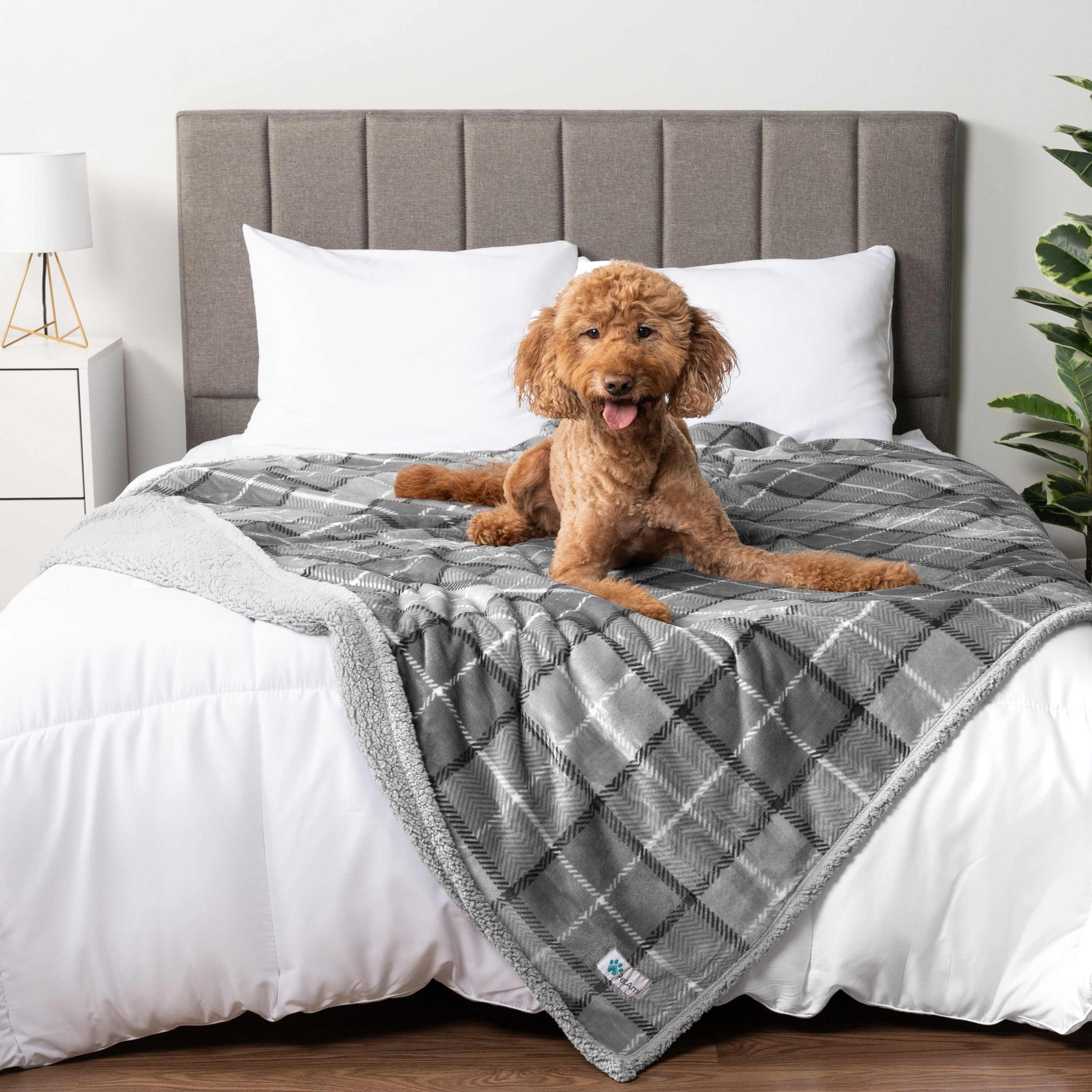 WASSERDICHTE Hundedecke für Haustierbett Couch Möbel Welpe Katze Sherpa Fleece weich - Bild 92 von 146