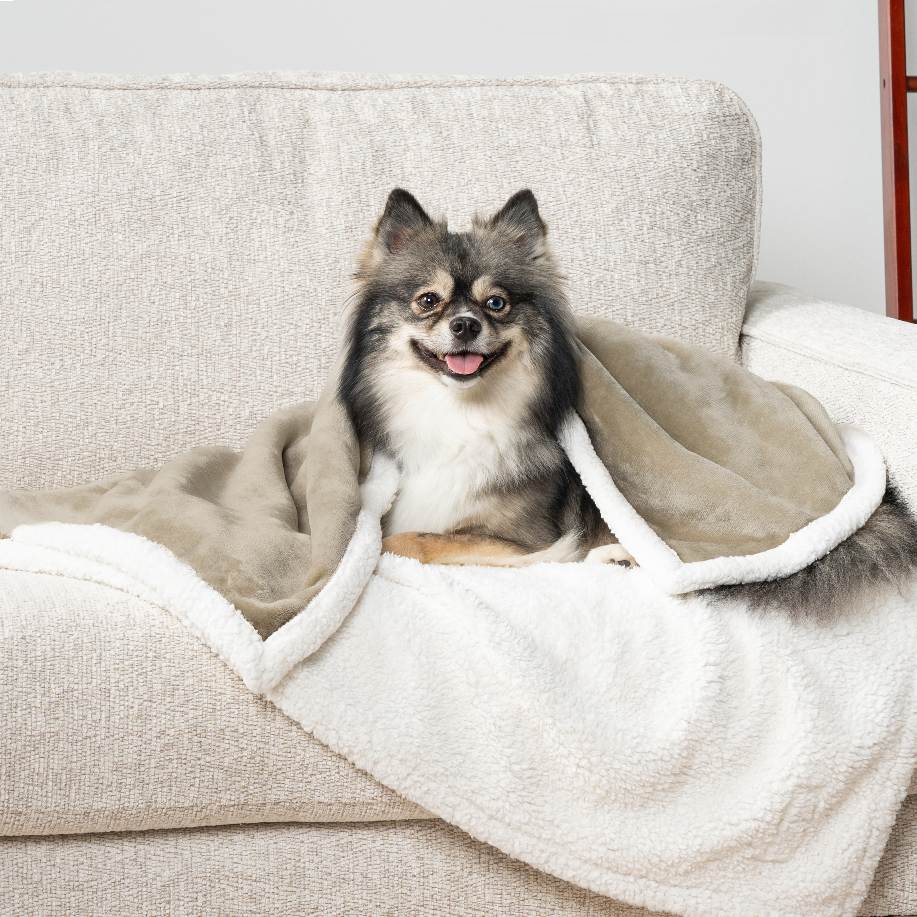 Haustierdecke für kleine mittelgroße Hunde Welpen Katze Kätzchen wendbar weiches Fleece Sherpa - Bild 49 von 70