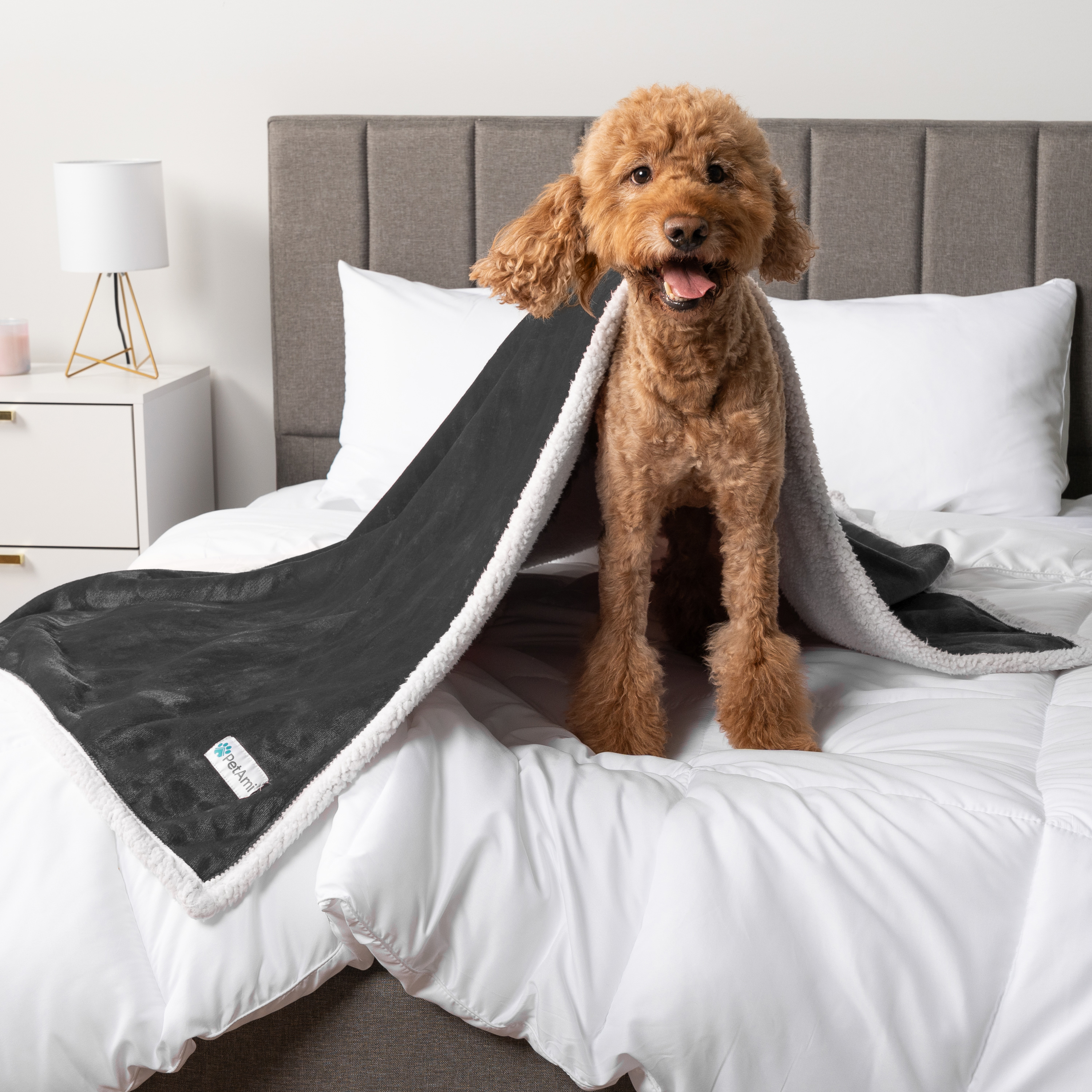WASSERDICHTE Hundedecke für Haustierbett Couch Möbel Welpe Katze Sherpa Fleece weich - Bild 38 von 146