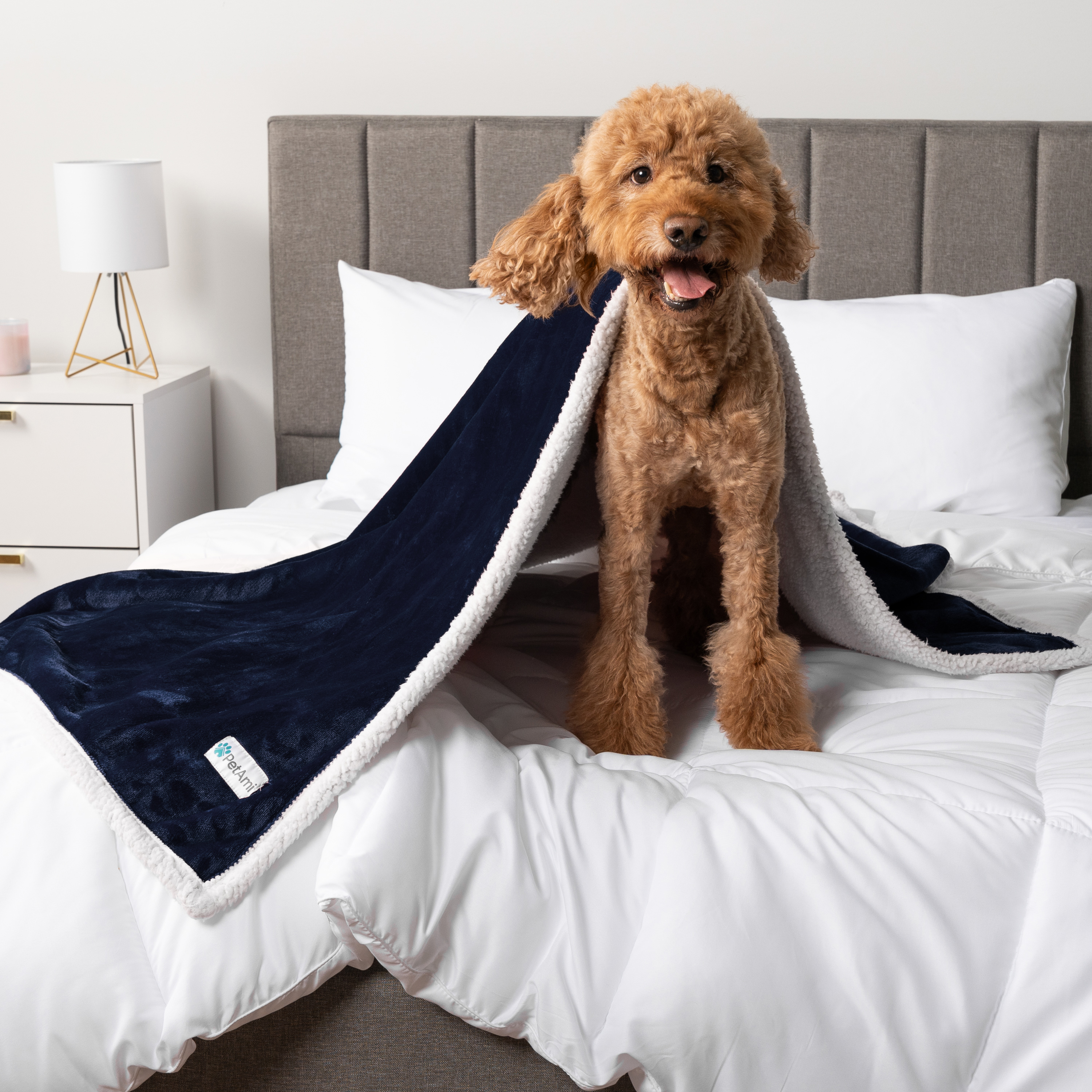 WASSERDICHTE Hundedecke für Haustierbett Couch Möbel Welpe Katze Sherpa Fleece weich - Bild 15 von 146