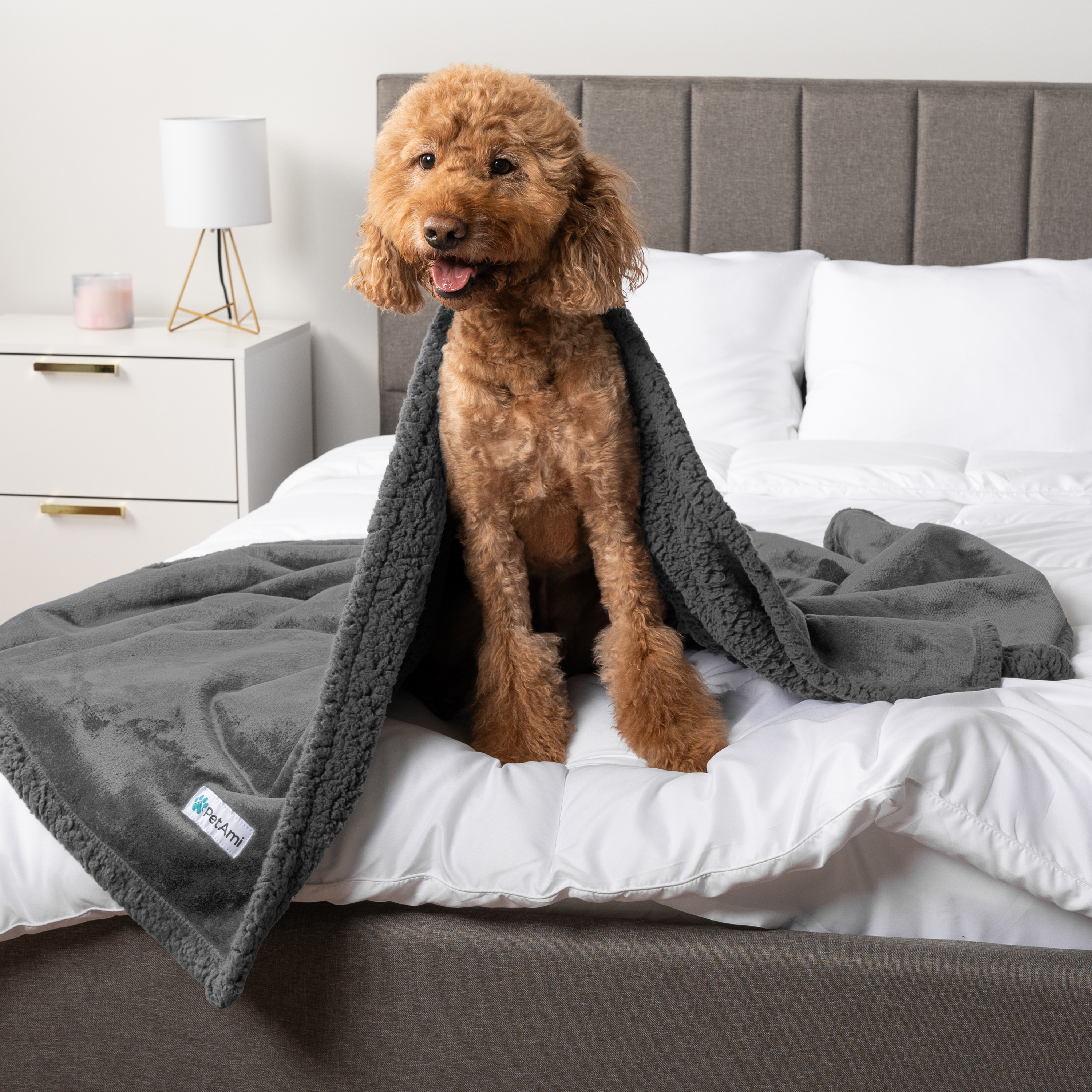 WASSERDICHTE Hundedecke für Haustierbett Couch Möbel Welpe Katze Sherpa Fleece weich - Bild 55 von 146