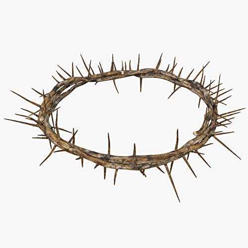 Authentic Crown of Thorns- Real Life Size 837654873786 | eBay