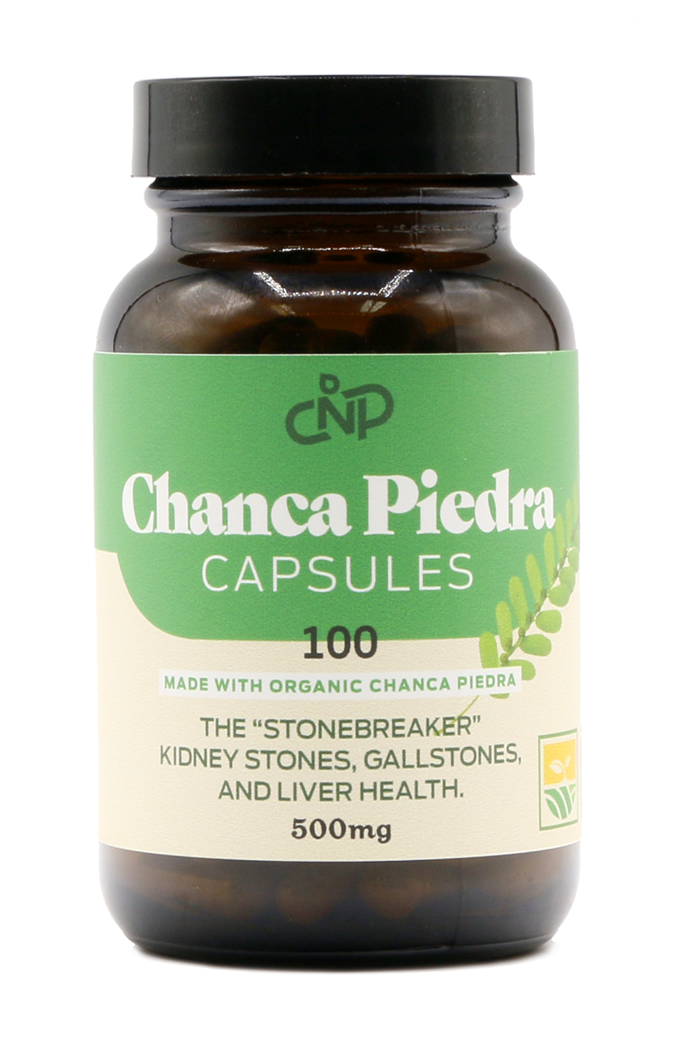 Organic Chanca Piedra Capsules - 500mg, 100 Pills, Pure Phyllanthus ...