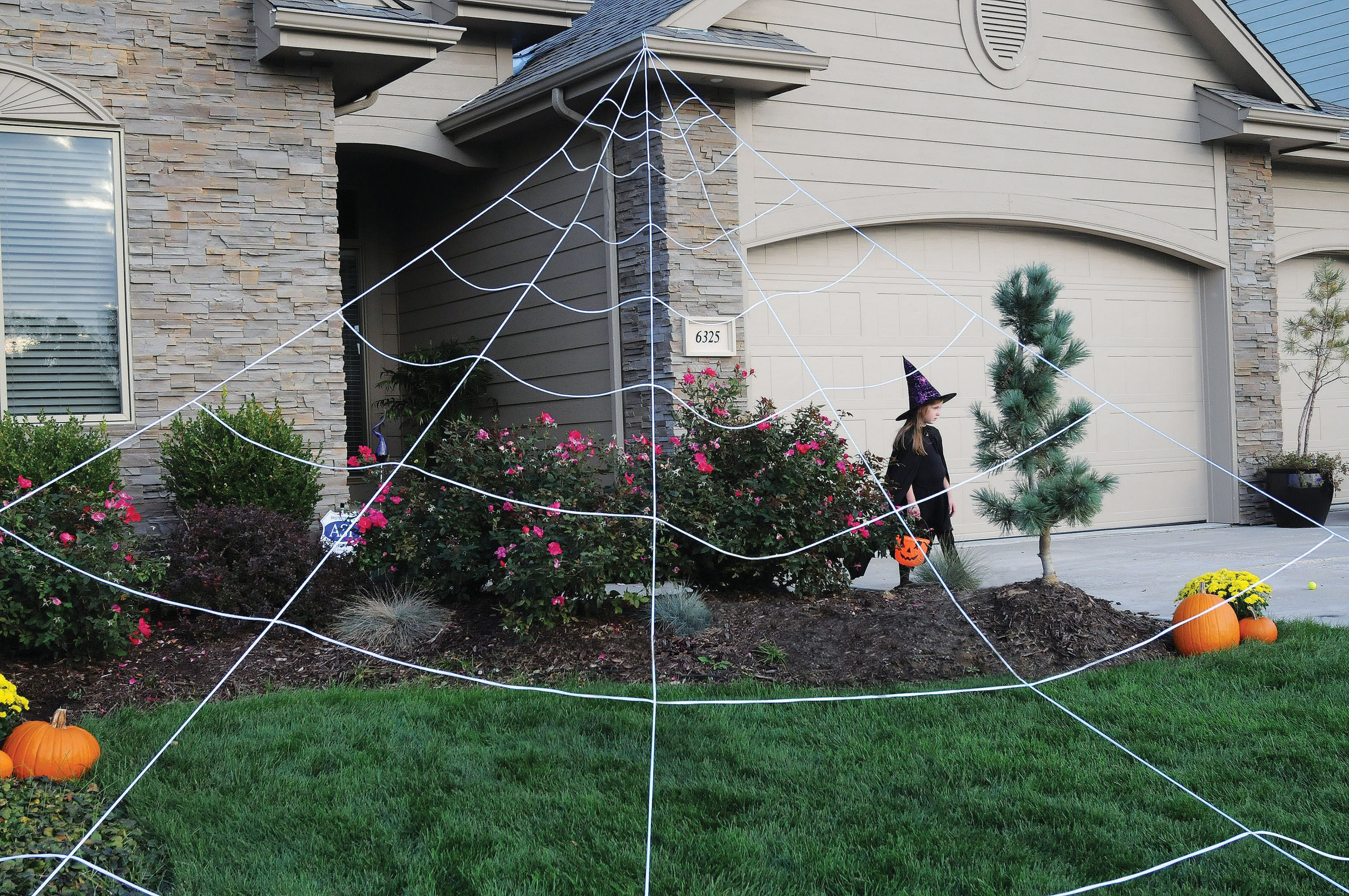 halloween outdoor spider web