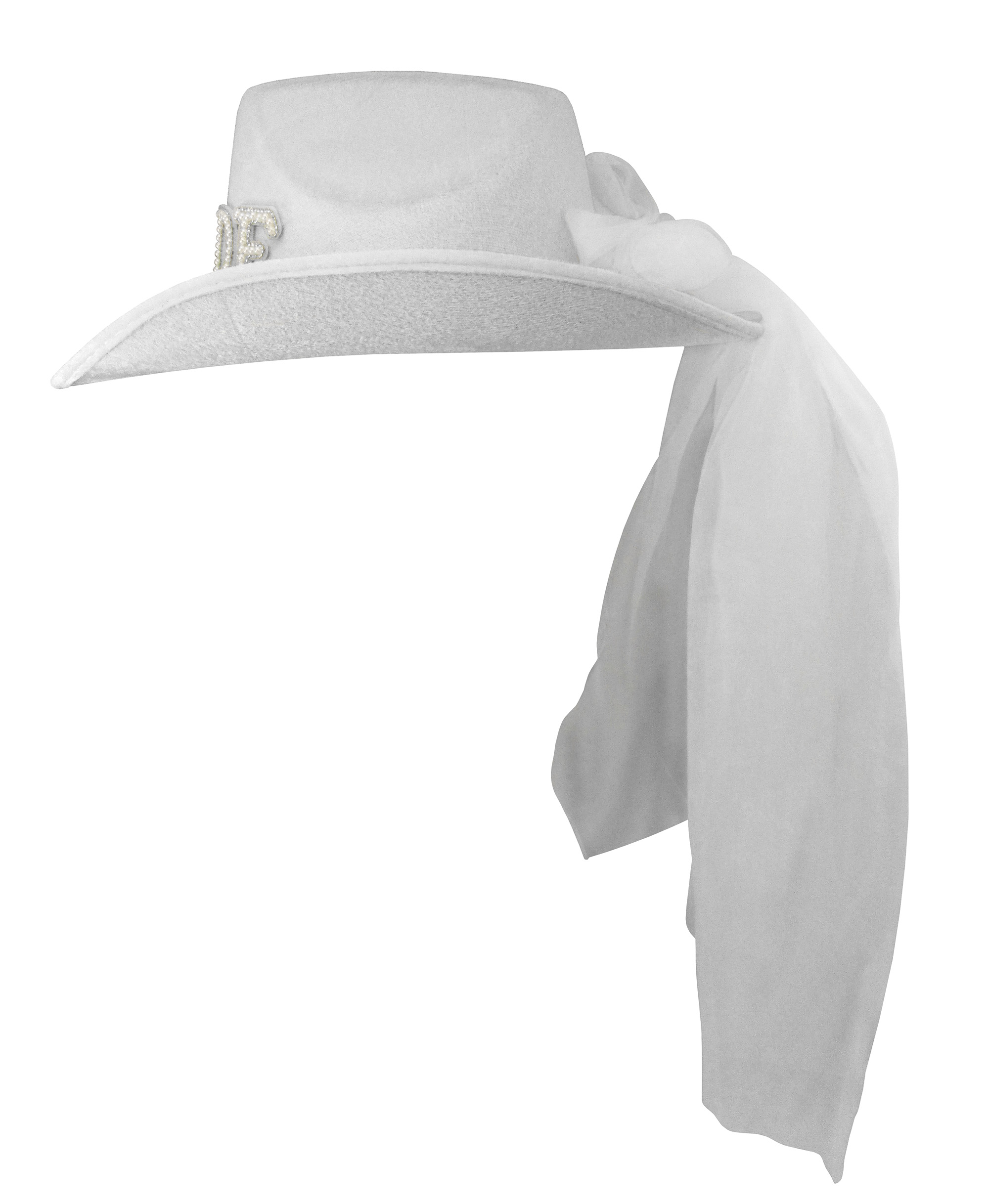 Fun Bachelorette Bride To Be Cowboy Cowgirl Hat With Veil Rodeo Party Prop - Picture 8 of 9