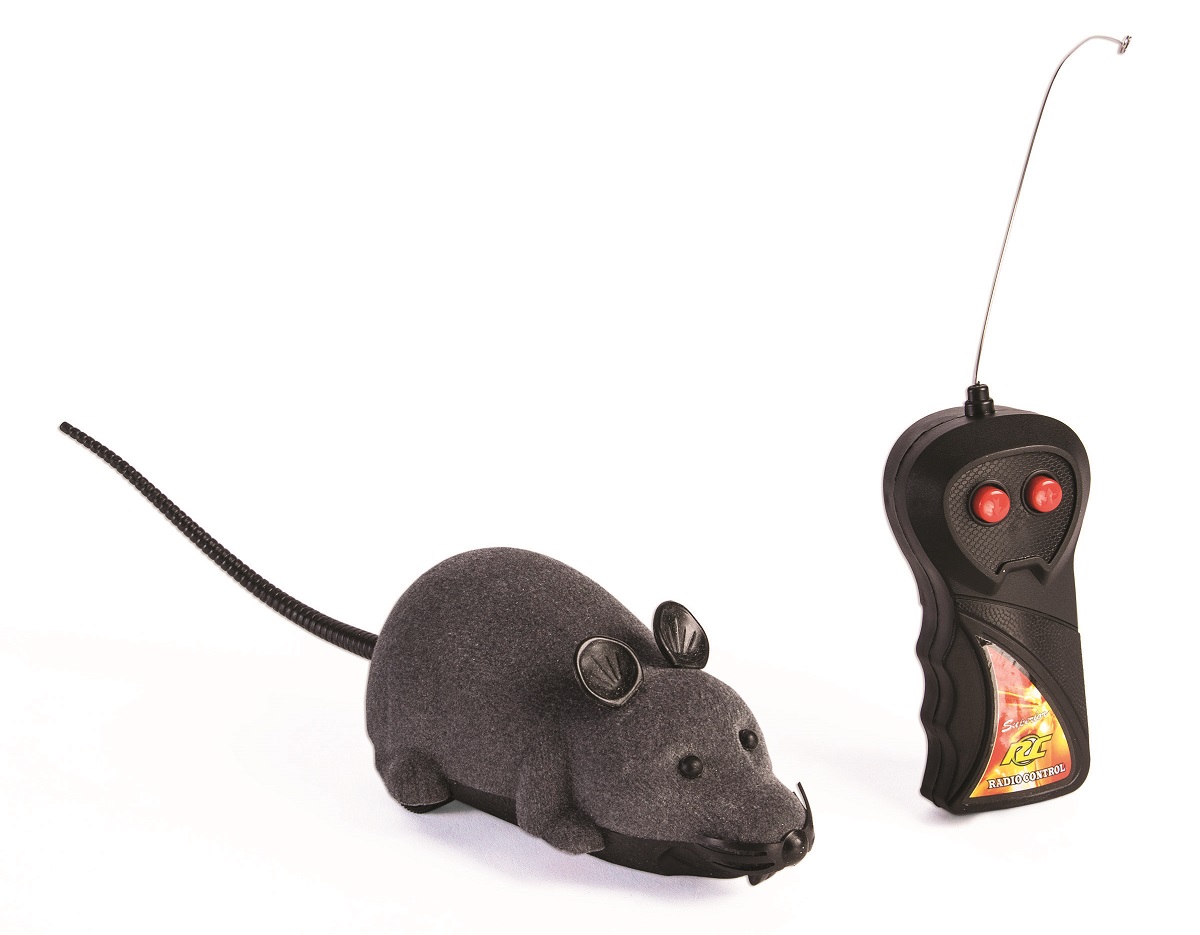 remote control rat