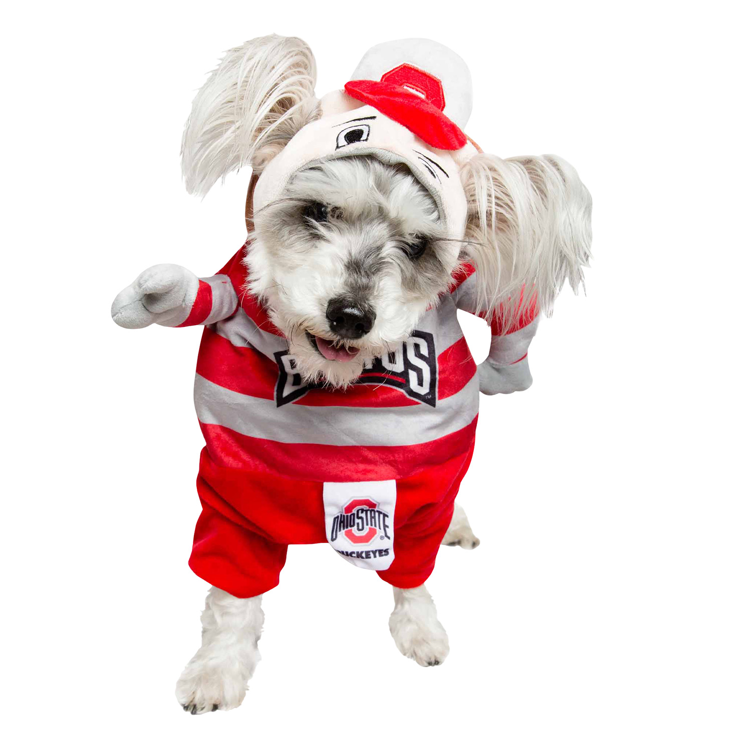 Pets First College Ohio State Buckeyes Cheerleader, 3 Sizes Pet Dress  Available. Licensed Dog Outfit 