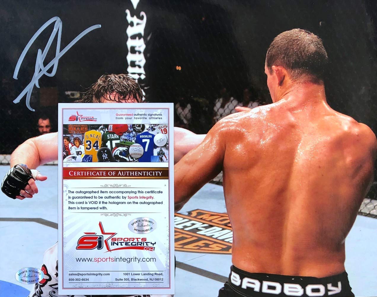  Roy  Nelson  Signed UFC 11x14 Photo vs  Brendan  Schaub  Photo 