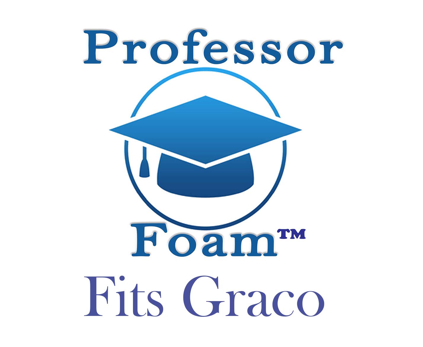 1//4 Diameter 302 SST fits Graco 12 Pack Professor Foam GC0259 Check Valve Ball