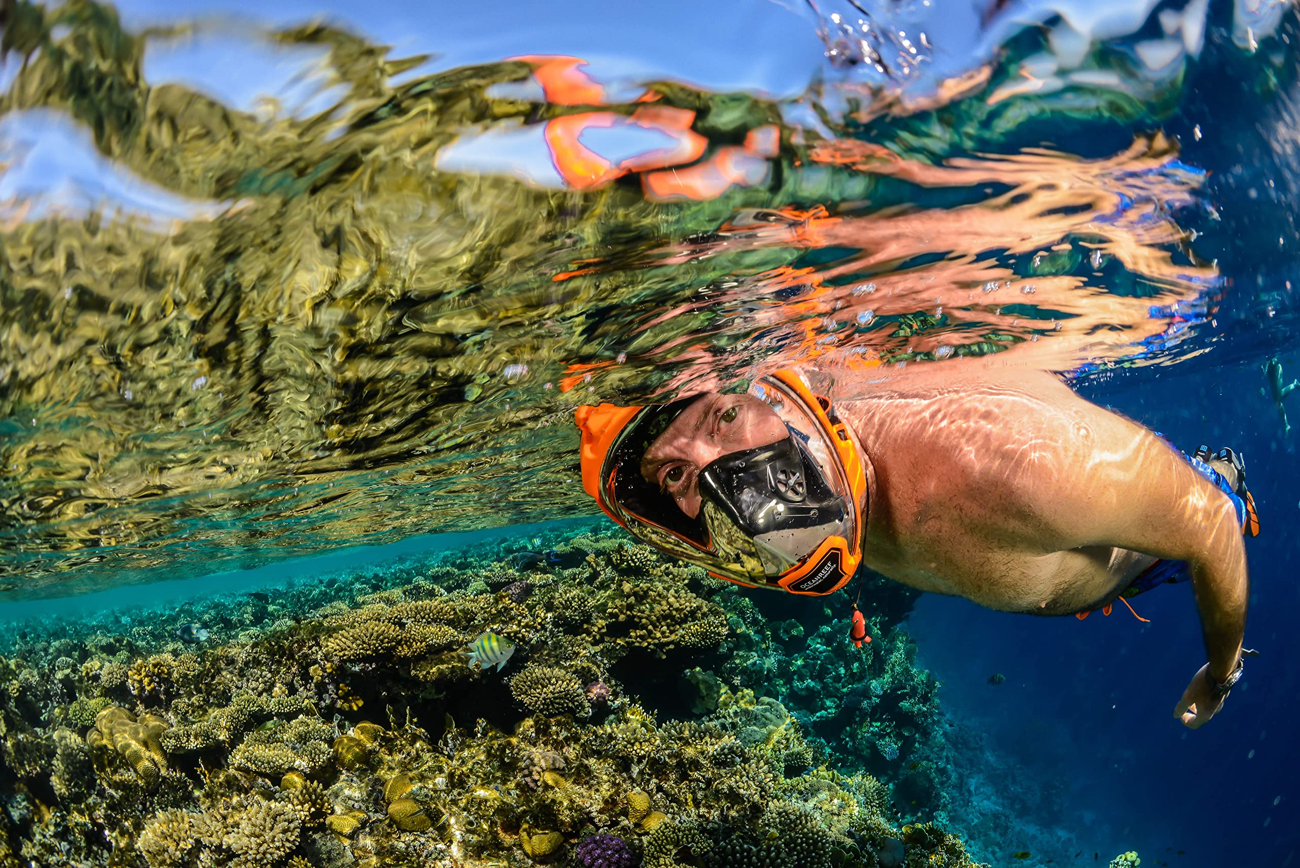 Ocean Reef Aria QR+ Fullface Mask Snorkel Combo