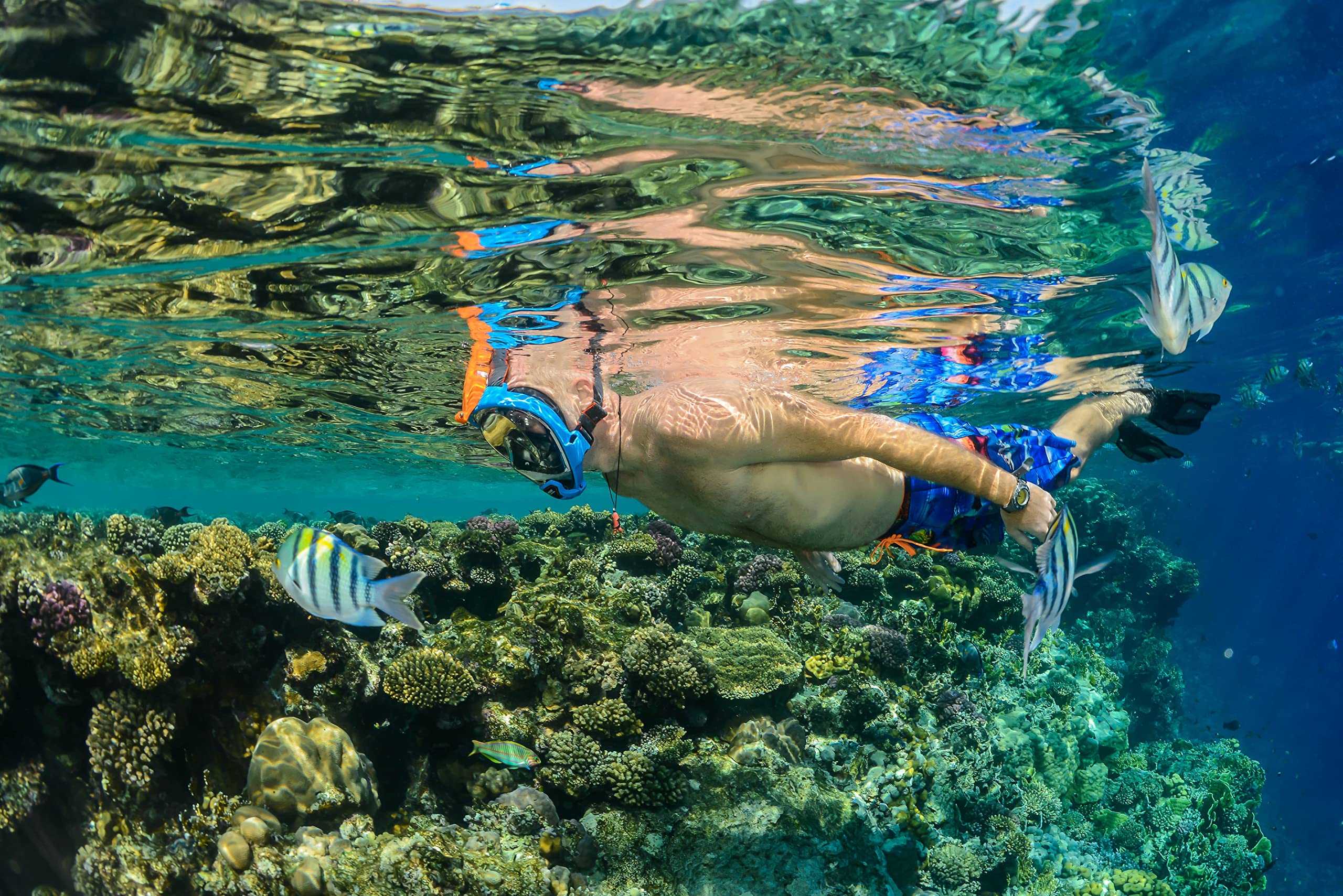 Ocean Reef Aria QR+ Fullface Mask Snorkel Combo