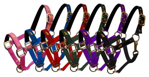 Pony Size Adjustable Neoprene Lined Nylon Halter w/ "Running Horse" Overlay - Picture 2 of 8