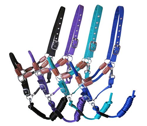 Showman Nylon Neckholder mit Lederakzenten & abnehmbarem 8' Bleiseil - Bild 2 von 6