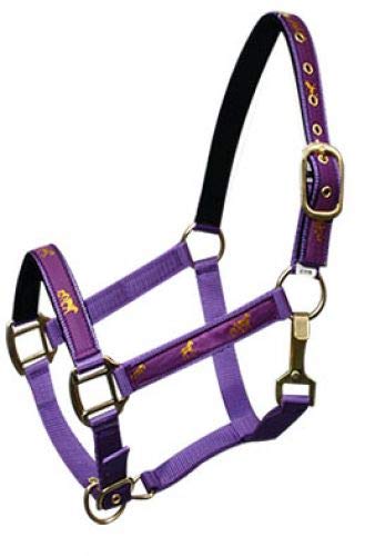 Adjustable Cob Size Neoprene Lined Nylon Halter w/ "Running Horse" Overlay - Picture 8 of 9