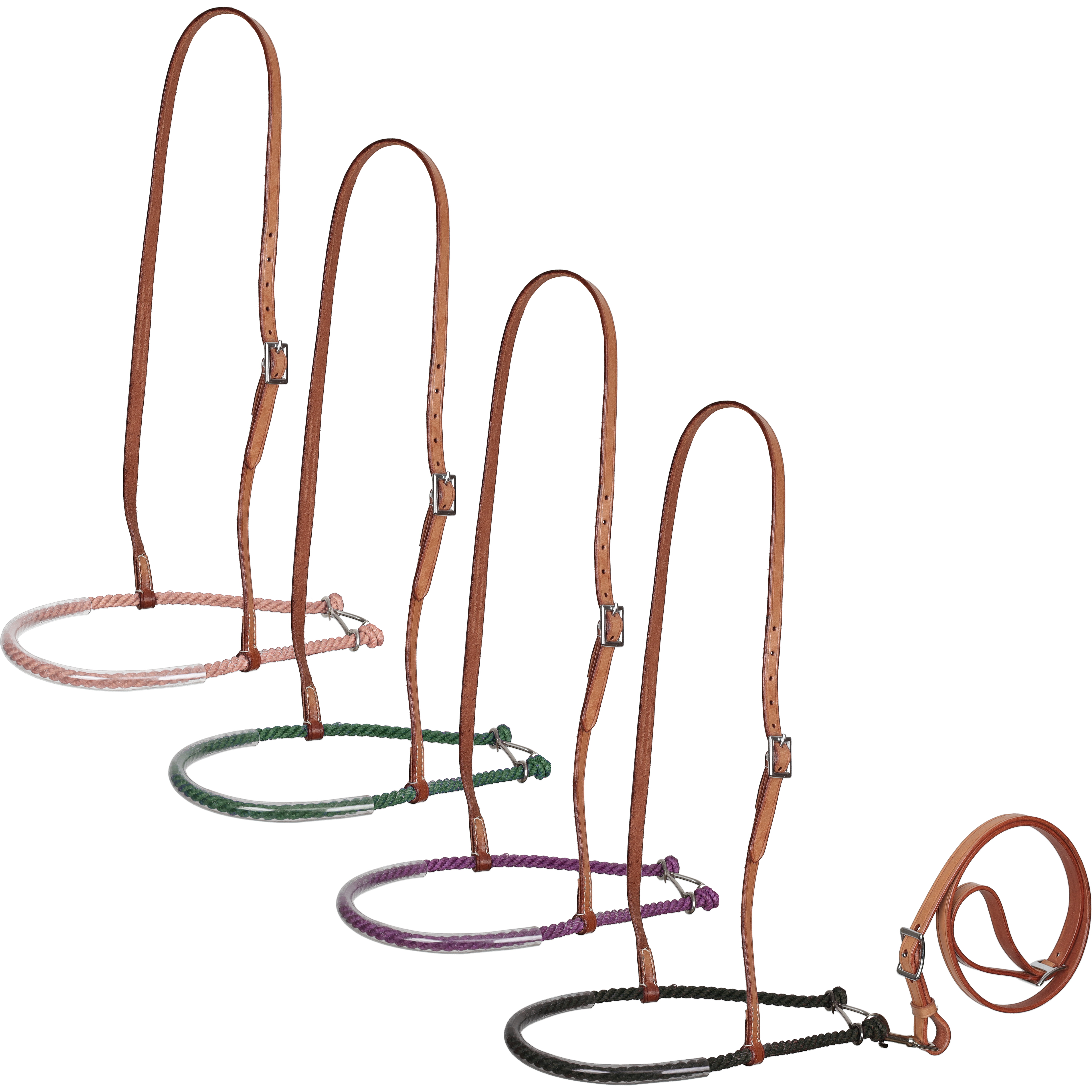 Showman Leather Tie Down w/ Lariat Noseband