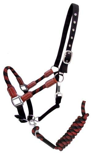 Showman Nylon Neckholder mit Lederakzenten & passendem Bleiseil - Bild 7 von 8