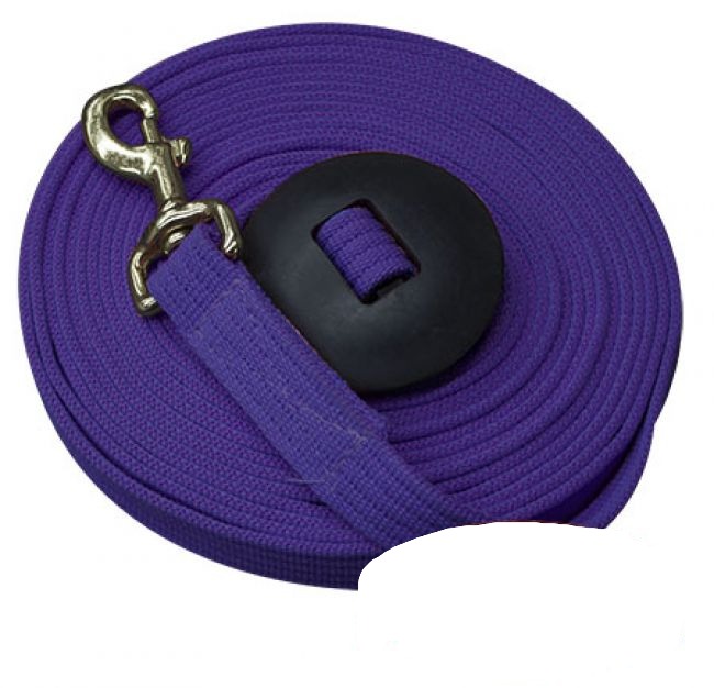 Showman 25' Flat Cotton Web Lunge Line w/ Brass Snap - Picture 7 of 8