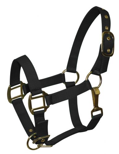 Ponygröße verstellbarer dreilagiger Nylonneckholder mit Messingbeschlägen - Bild 3 von 9