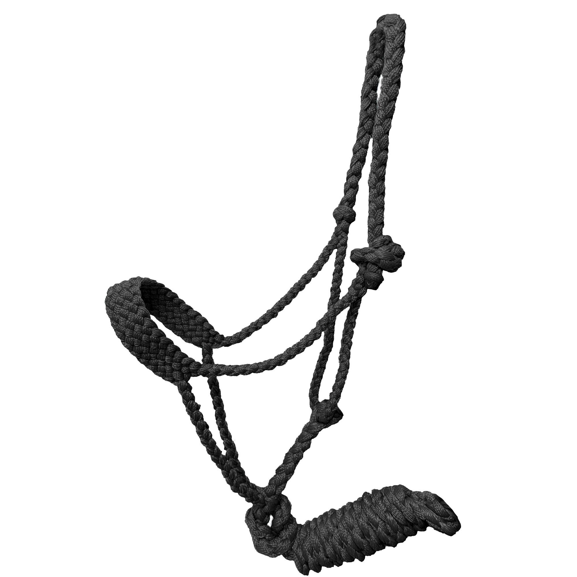 Showman Braided Mule Tape Pony Halter