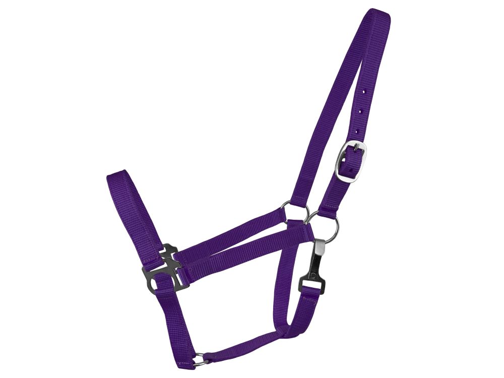 Supporto pannocchia nylon 2 strati - Foto 7 di 8