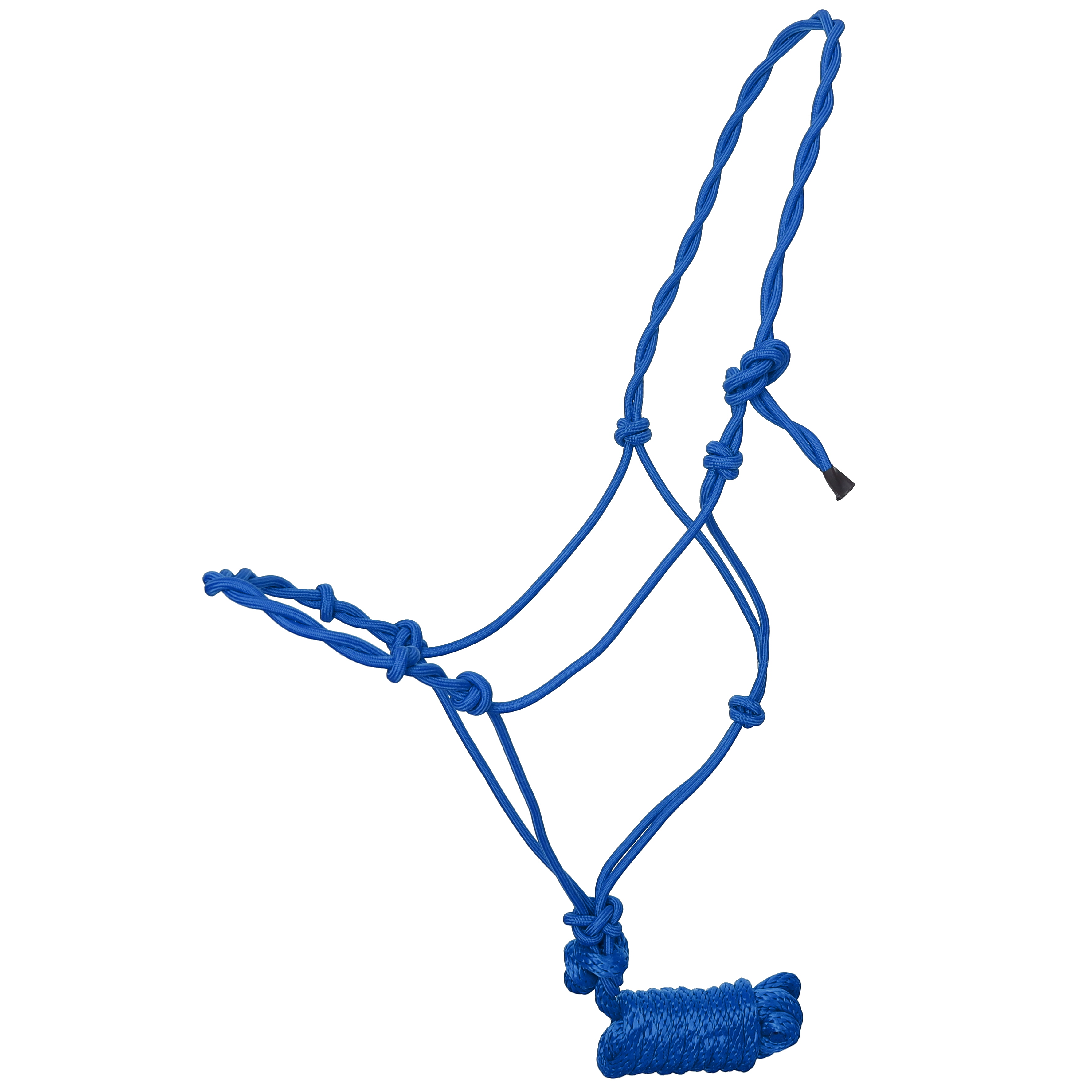 Draft Size Twisted Cowboy Knot Halter w/ 10' Lead - Picture 4 of 7