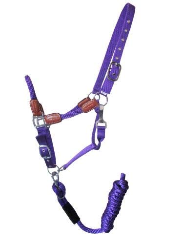 Showman Nylon Neckholder mit Lederakzenten & abnehmbarem 8' Bleiseil - Bild 5 von 6