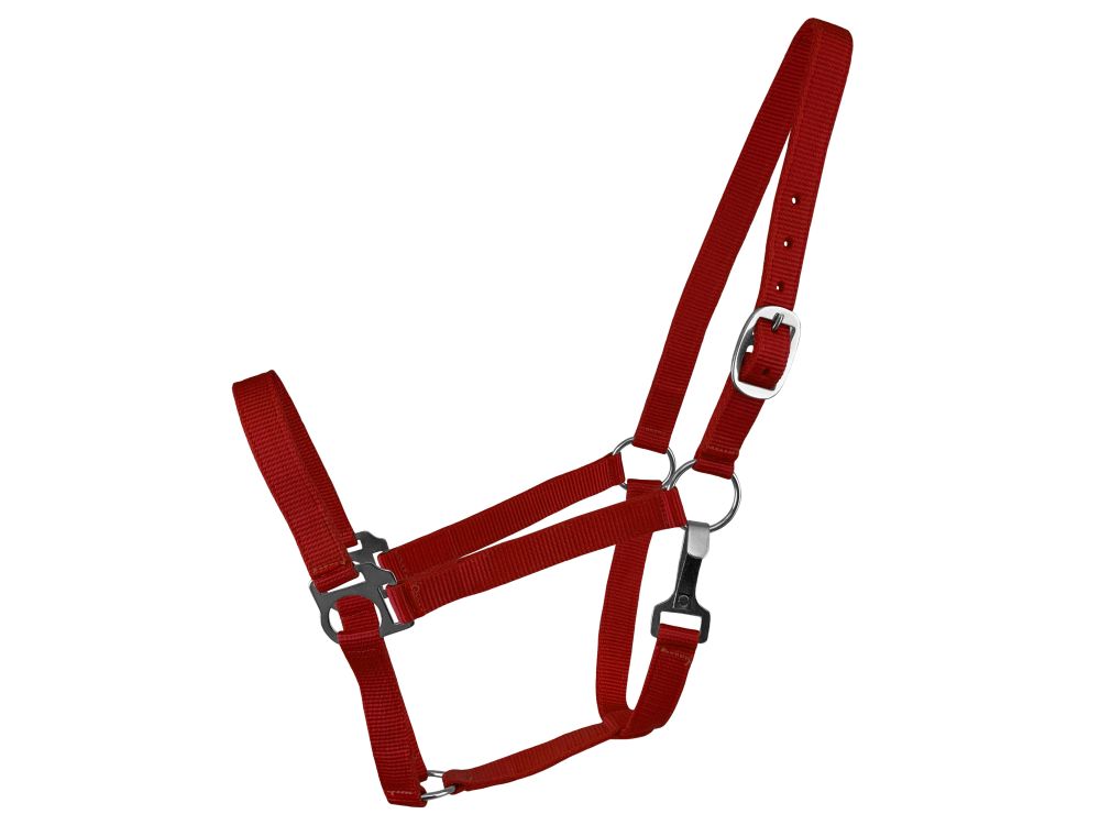 Supporto pannocchia nylon 2 strati - Foto 8 di 8