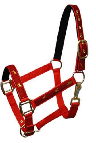 Adjustable Cob Size Neoprene Lined Nylon Halter w/ "Running Horse" Overlay - Picture 9 of 9