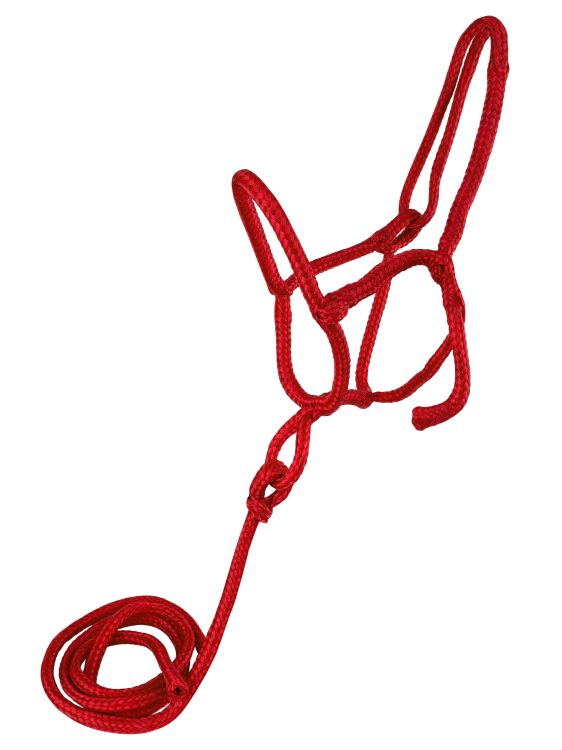 Supporto per spedizione in corda di nylon con piombo - Foto 5 di 5
