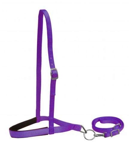Showman Pony Size Premium Nylon Noseband Tie Down w/ Strap - Picture 6 of 7