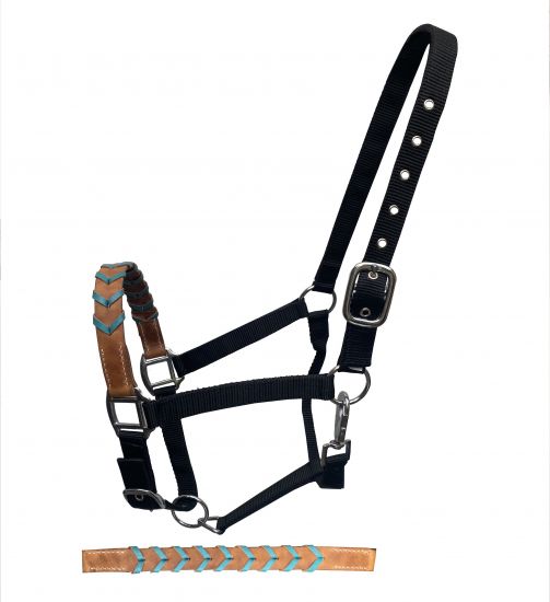 Showman Nylon Halter w/ Leather Braided Accent Nose